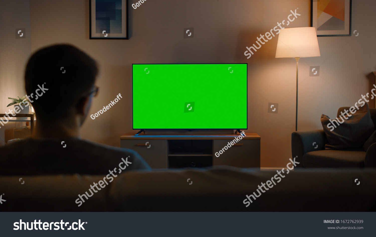 Young Man Glasses Sitting On Sofa Stock Photo 1672762939 | Shutterstock