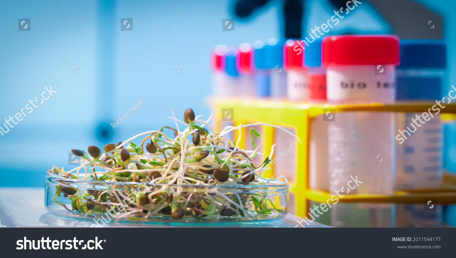 plant pathology experiments