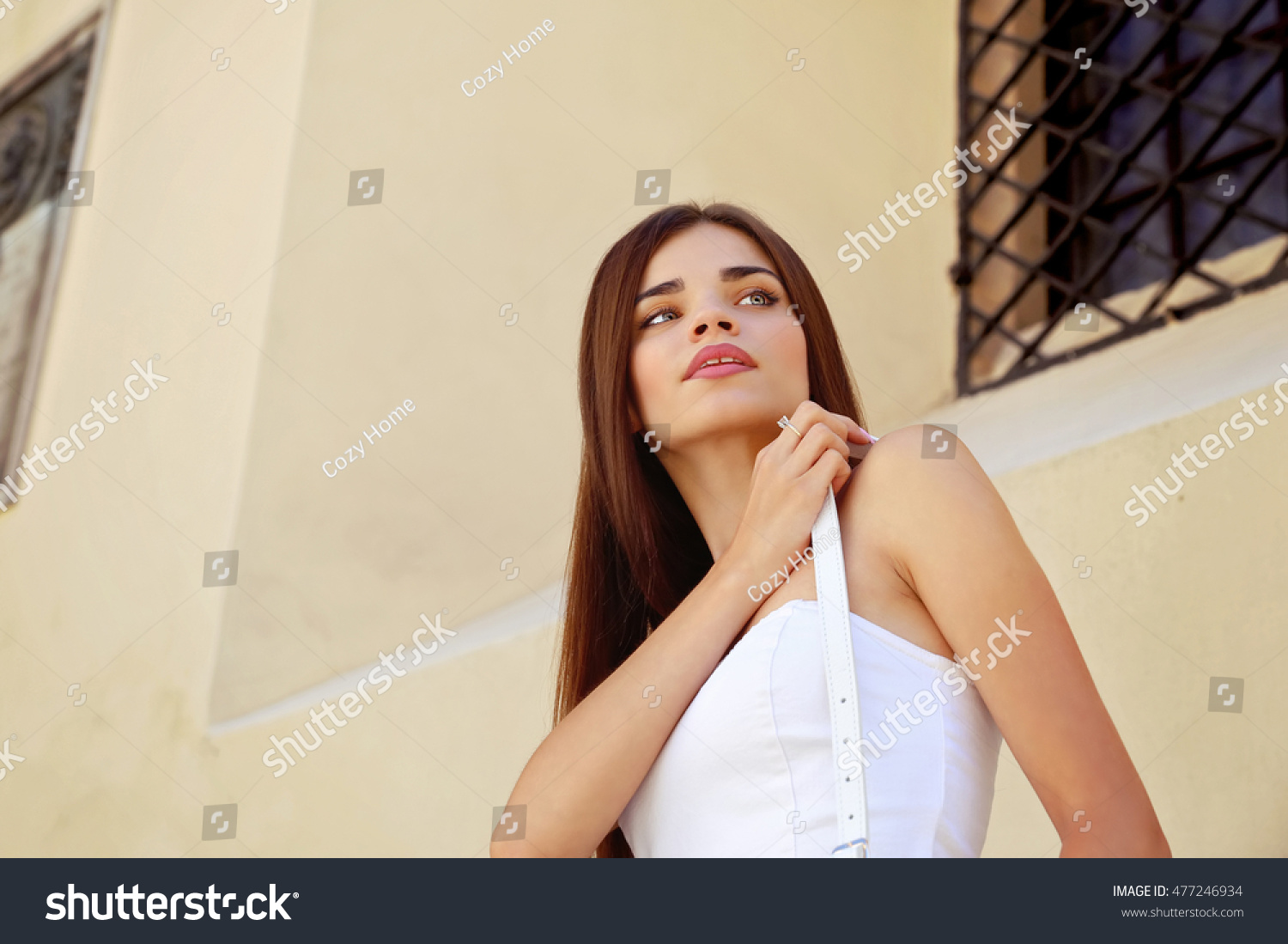 Young Stylish Woman Long Dark Brown Stock Image Download Now