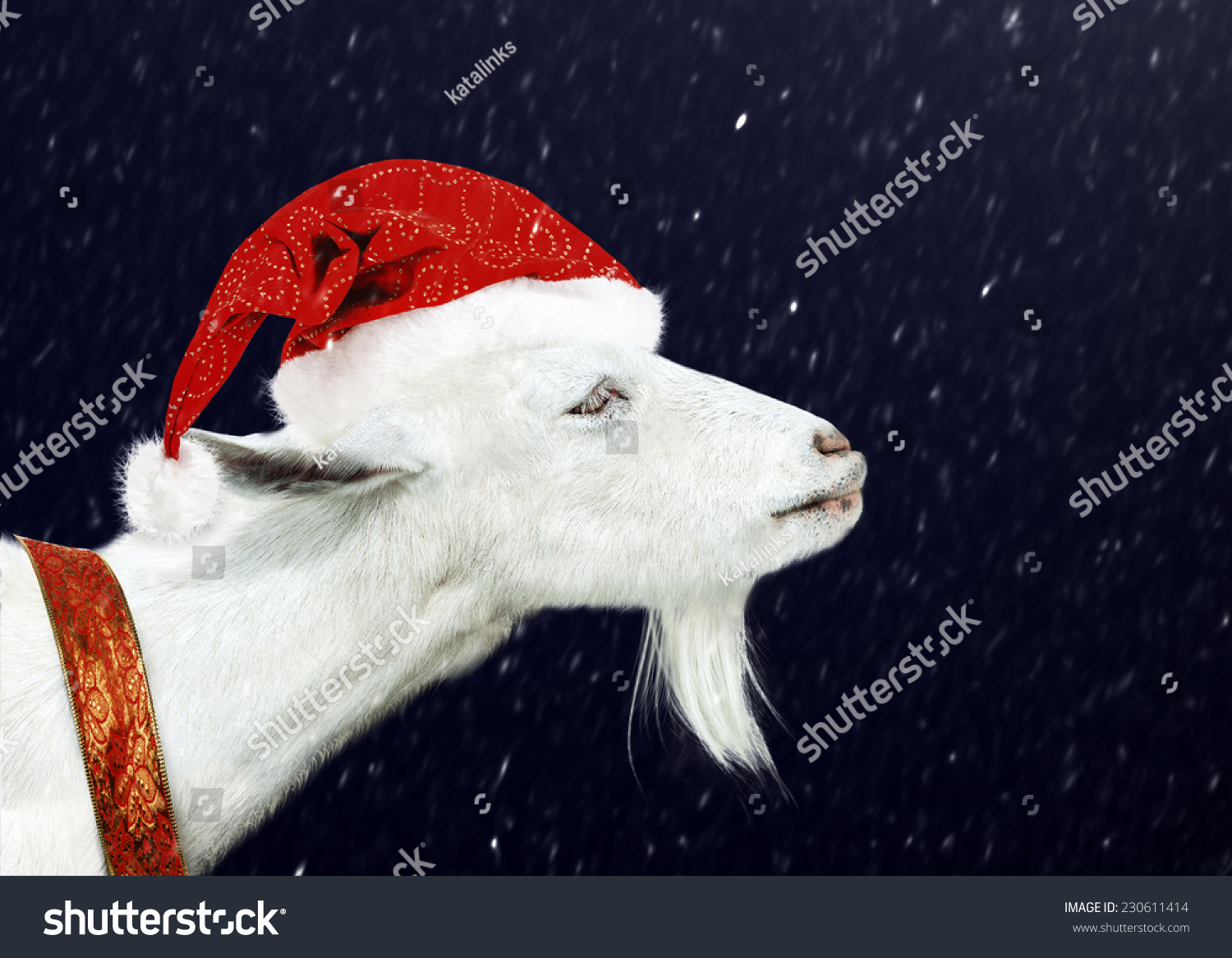 Young White Goat Wearing Santa Claus Stock Photo (Edit Now) 230611414
