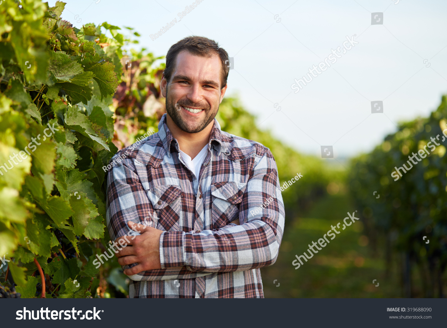 7,388 Portrait winemaker Images, Stock Photos & Vectors | Shutterstock