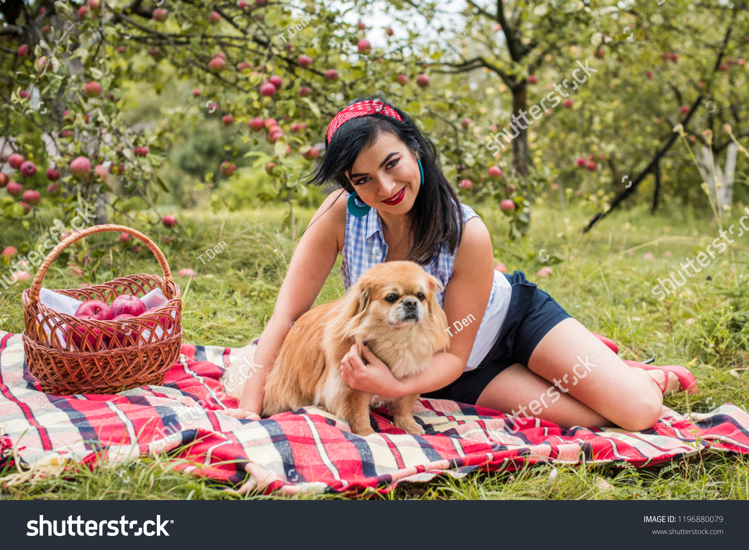 Young Woman Dog Picnic Little Dog Stock Photo (Edit Now) 1196880079