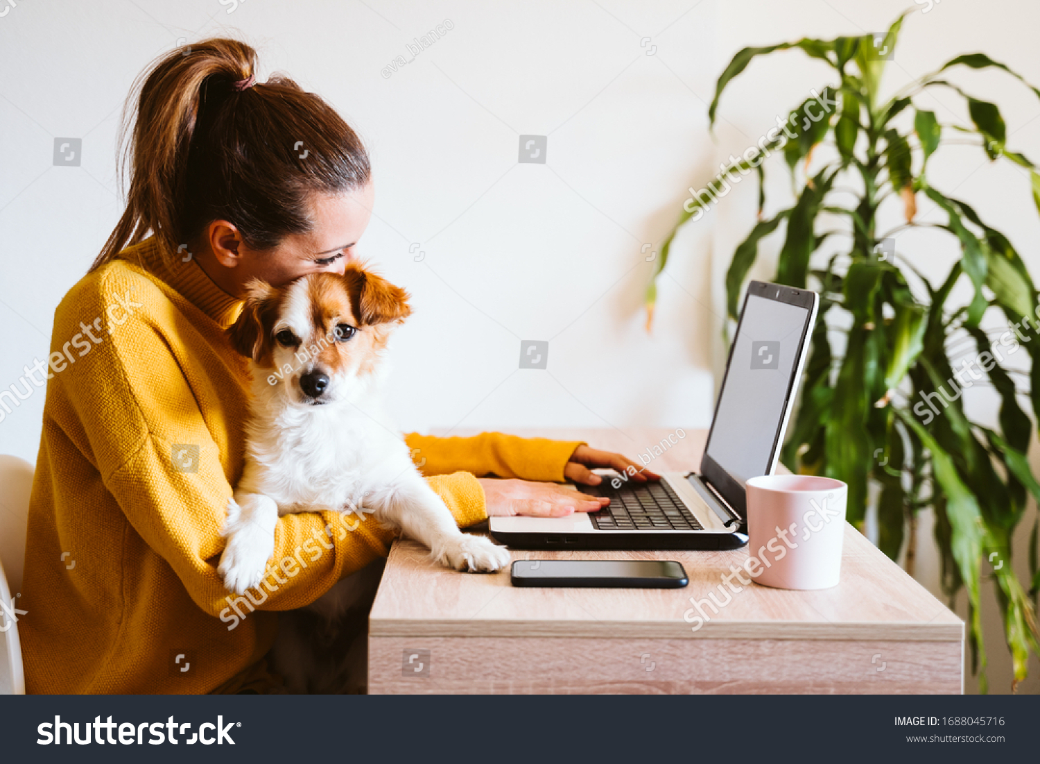 760,577 Pet in home Images, Stock Photos & Vectors | Shutterstock