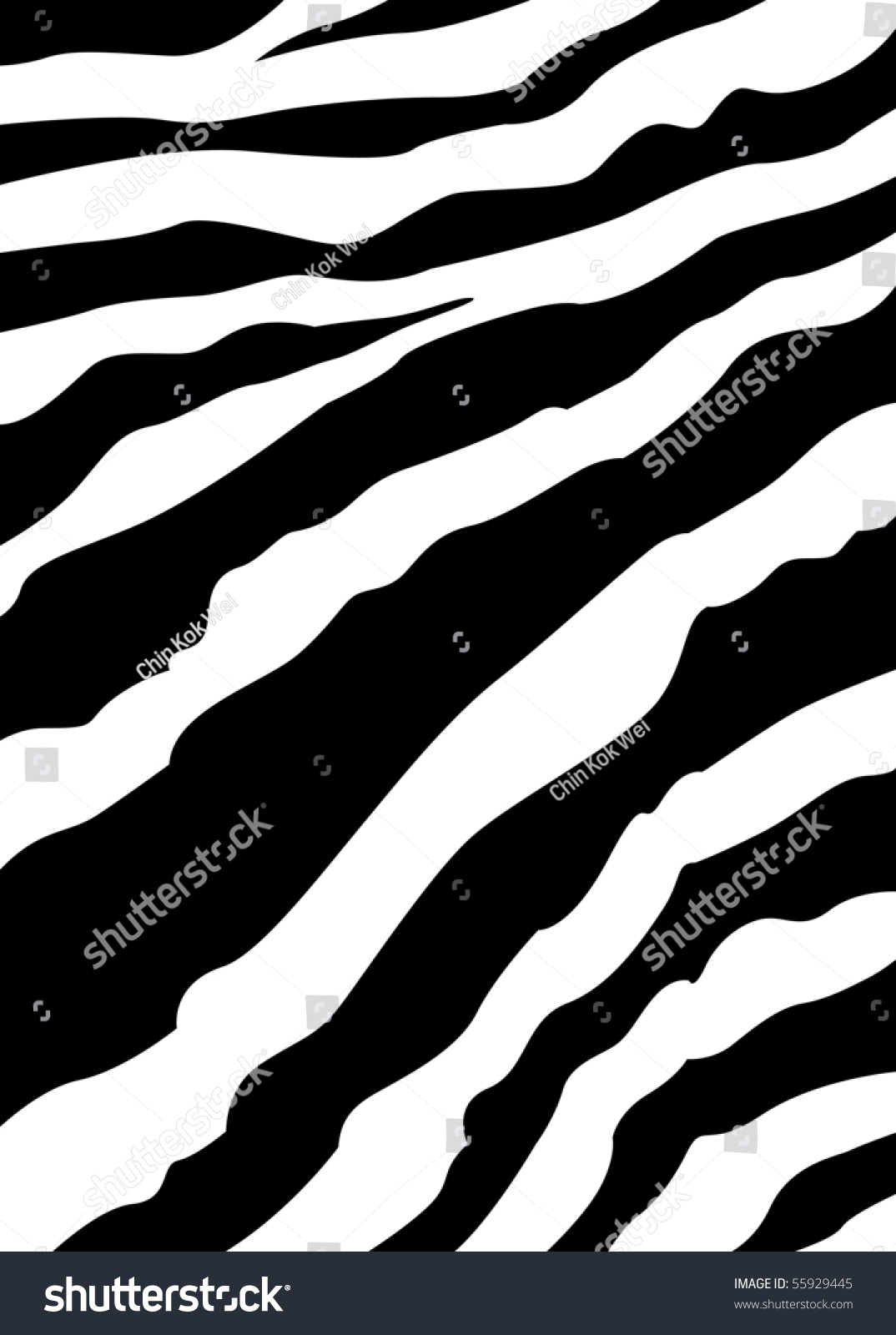 Zebra Lines Stock Photo 55929445 : Shutterstock
