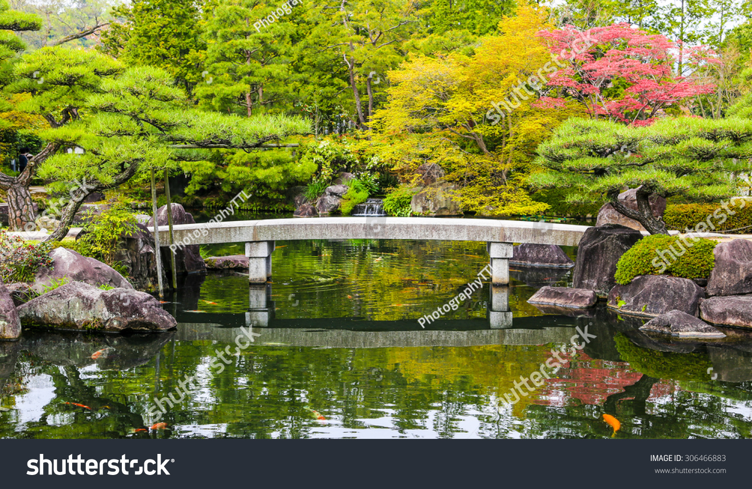 Zen Garden Pond Bridge Carp Fish Stock Photo Edit Now 306466883