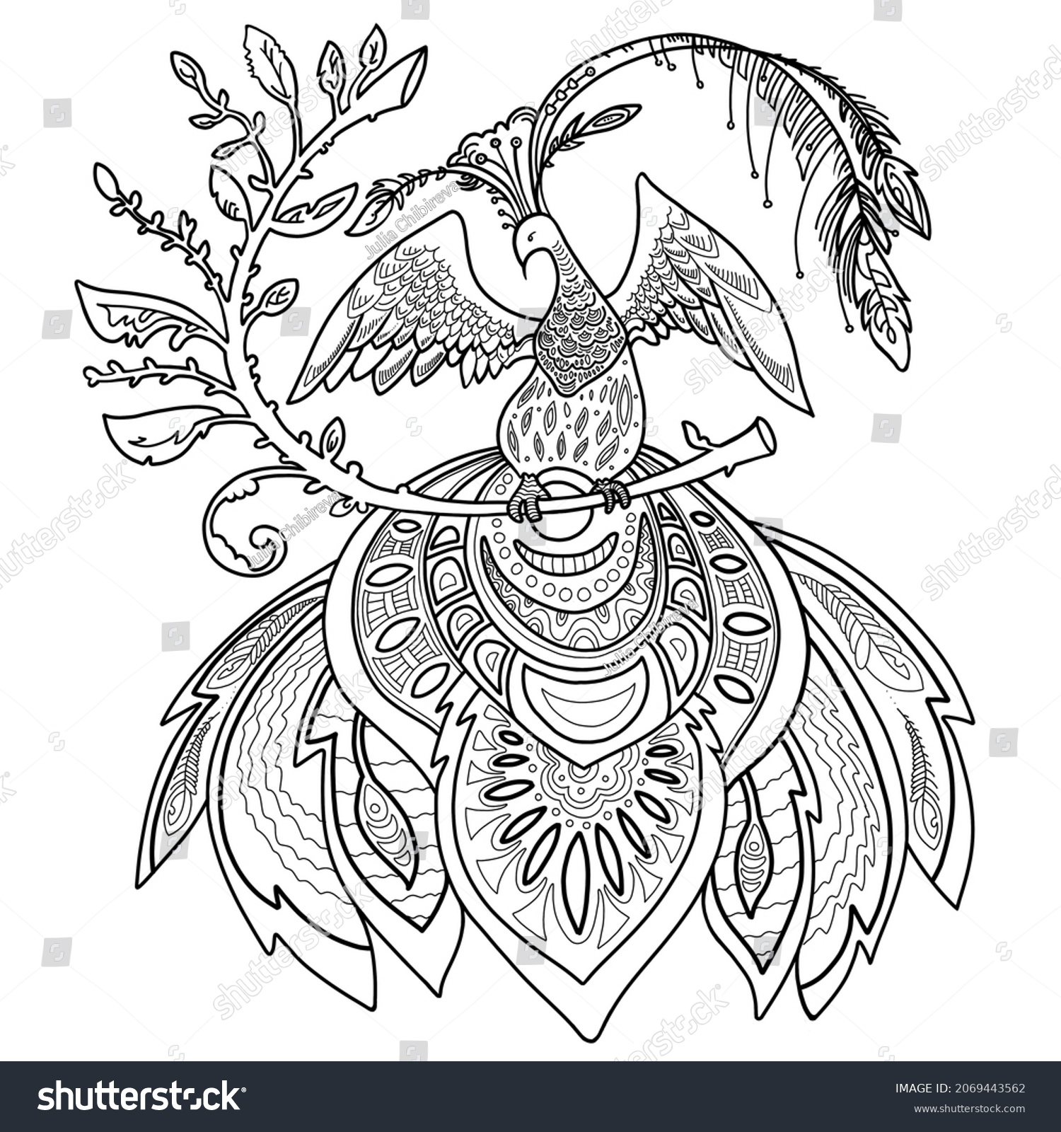 Zentangle Bird Coloring Book Stock Illustration 2069443562 | Shutterstock