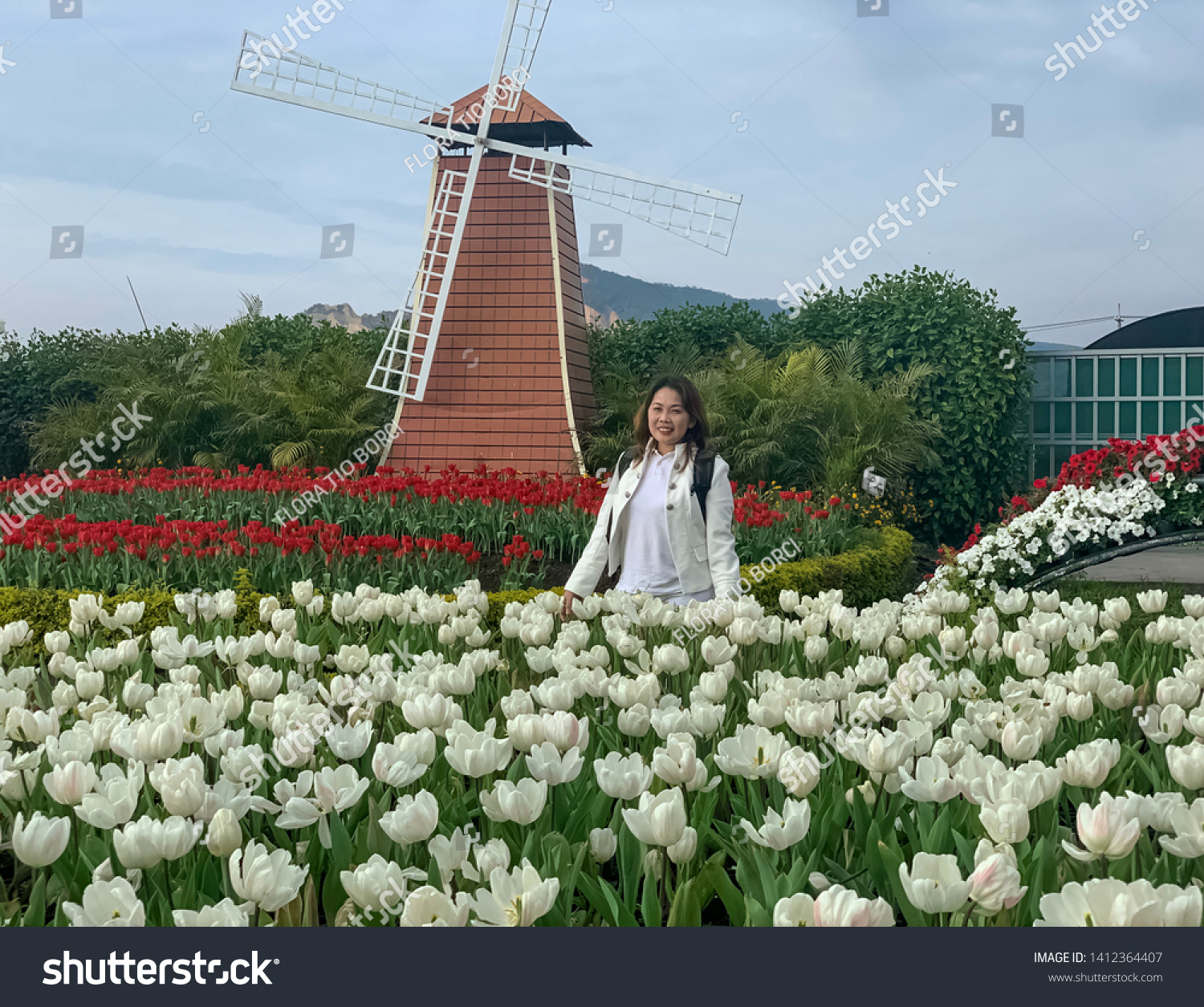 Zhongshe Houli Flower Farm Taichung Taiwan Stock Photo Edit Now 1412364407