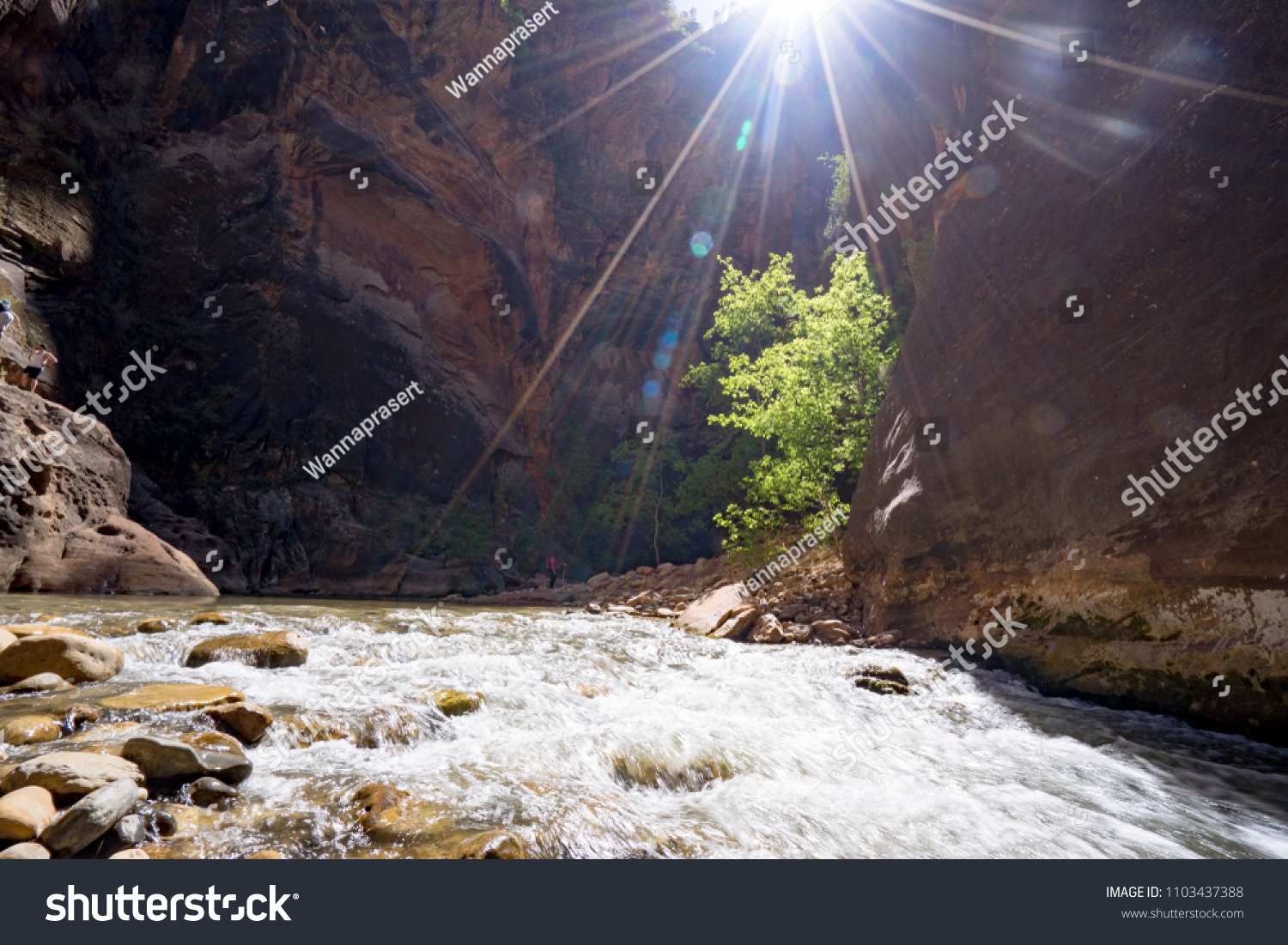 1 Tha narrows trail Images, Stock Photos & Vectors | Shutterstock