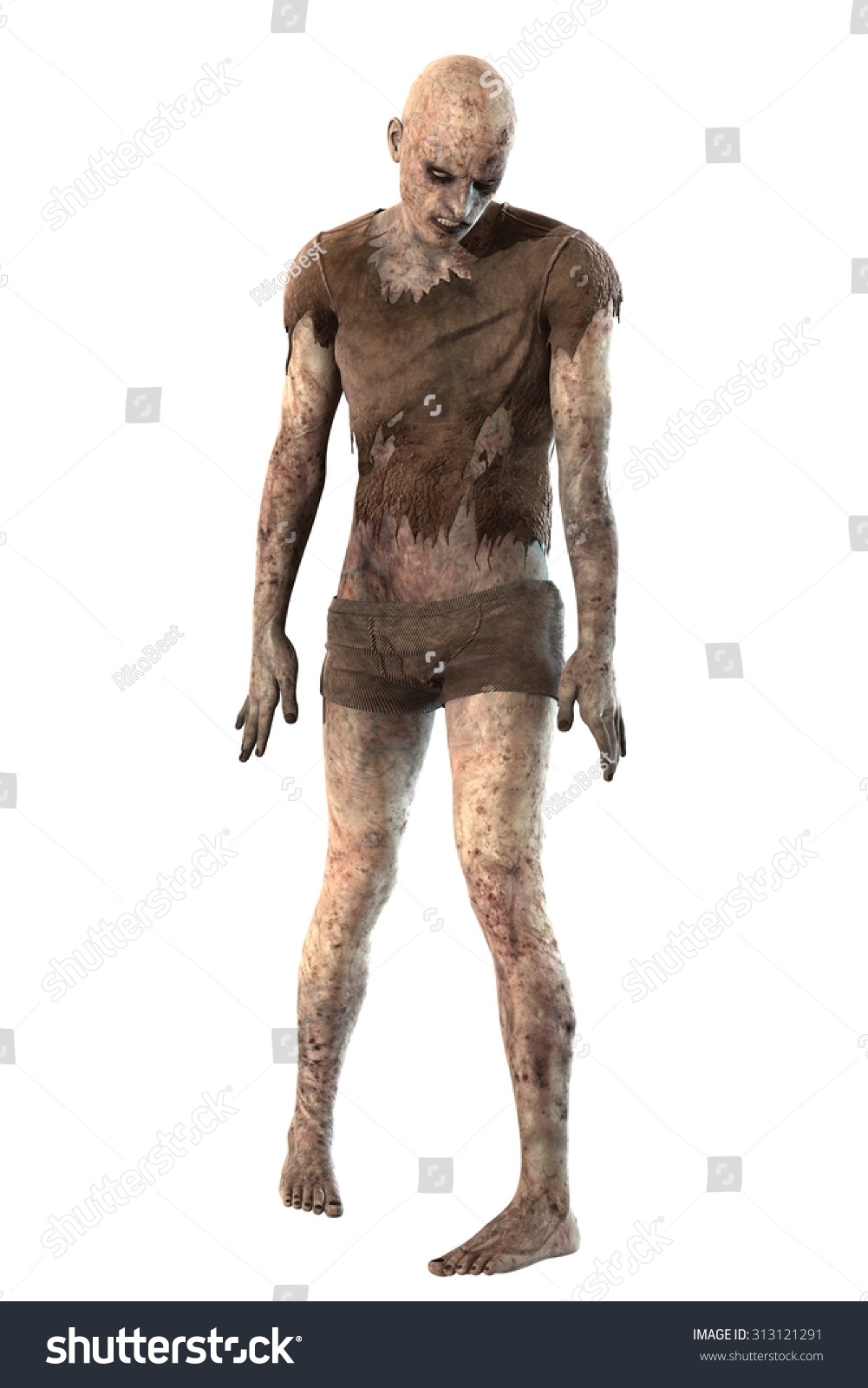 Zombie Isolated On White Background Stock Photo 313121291 : Shutterstock