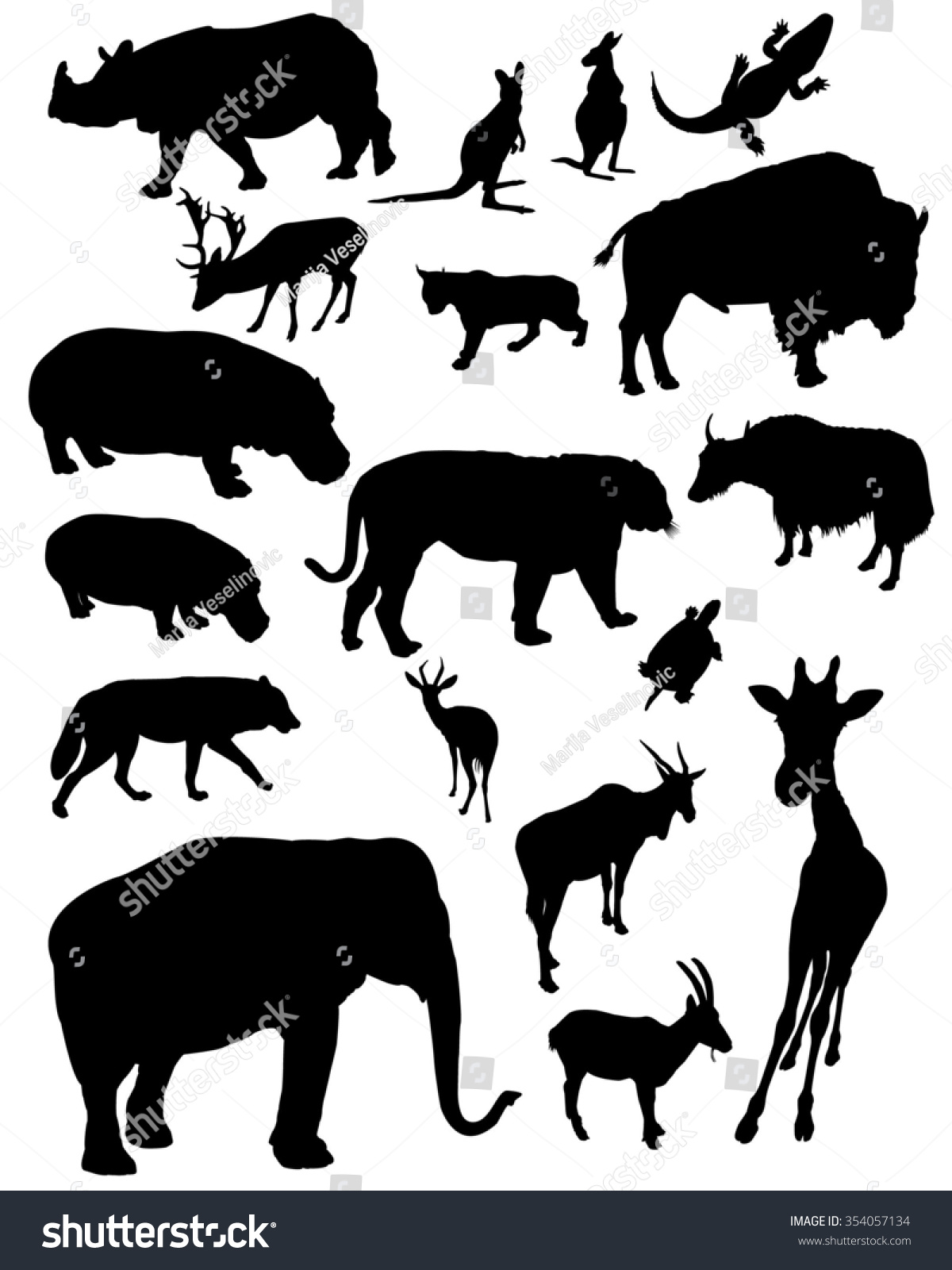 Zoo Animals Silhouettes Stock Photo 354057134 : Shutterstock