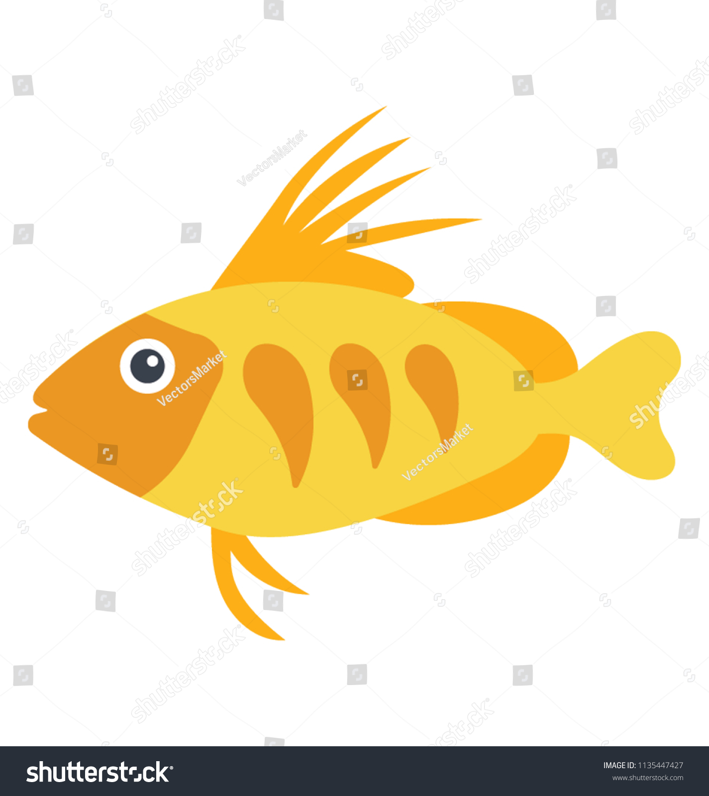 medium tropical fish