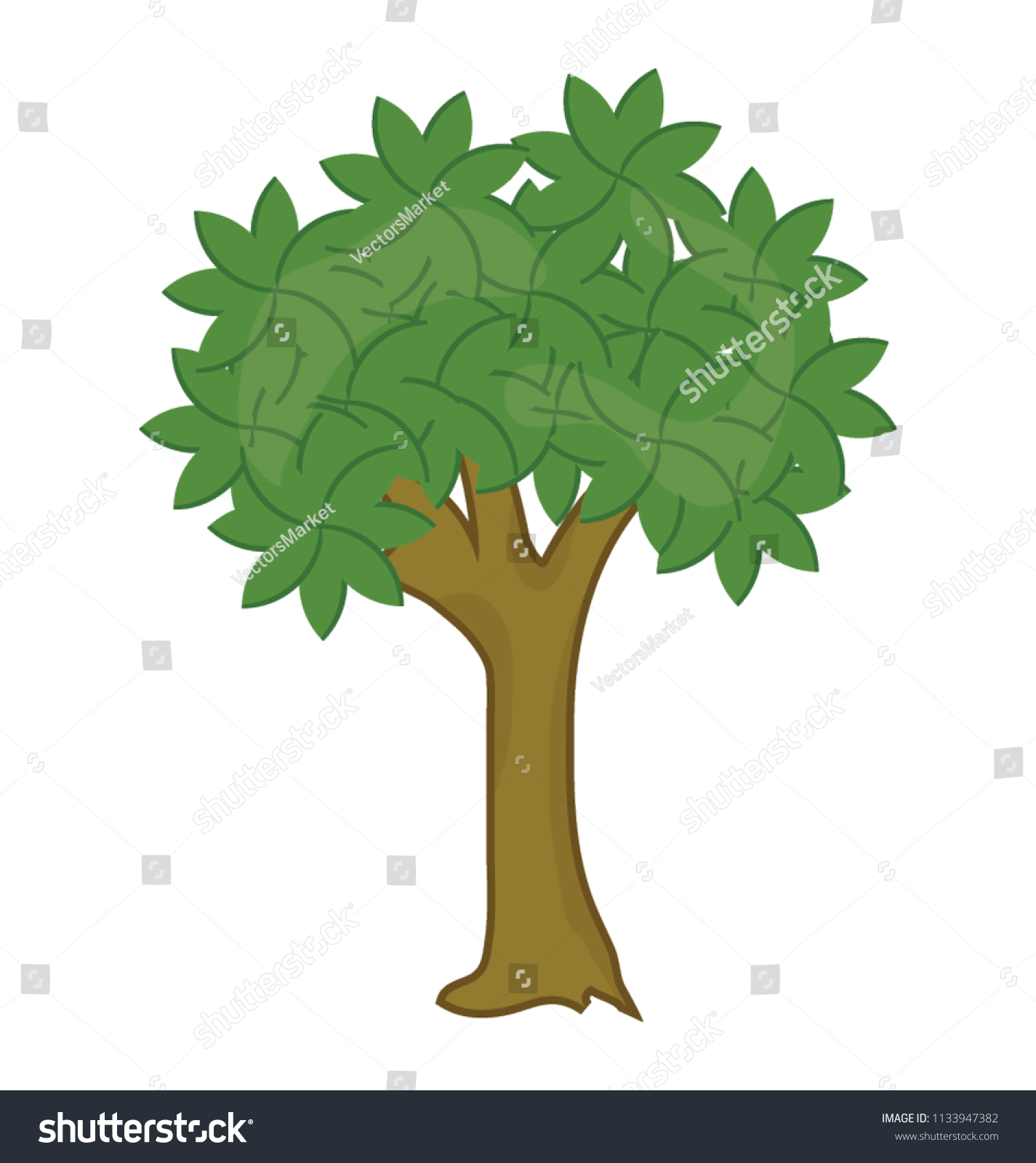 Evergreen Bitternut Hickory Tree Flat Design Stock Vector Royalty Free