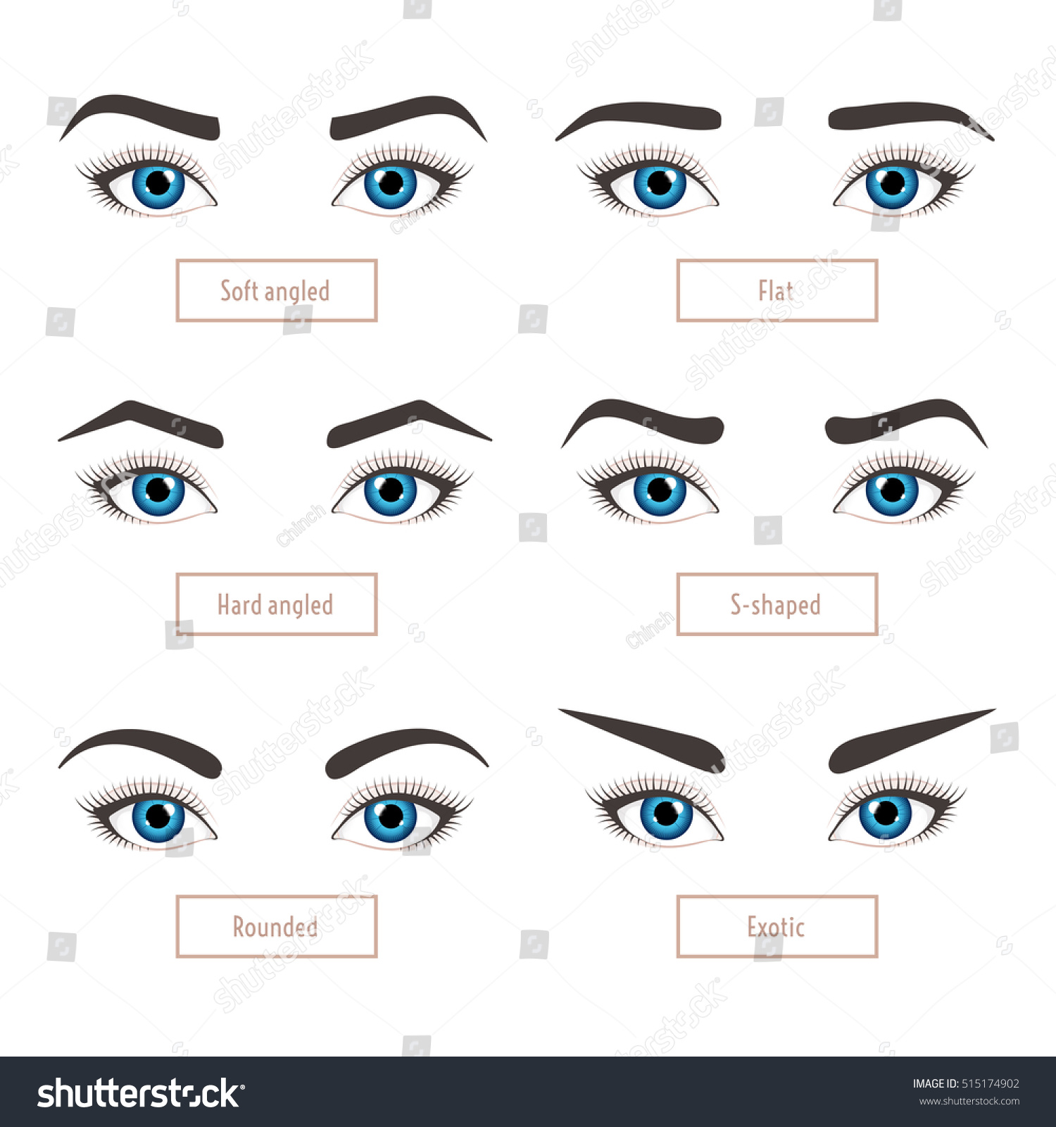 6 Basic Eyebrow Shape Types Classic Stock Vector (Royalty Free ...