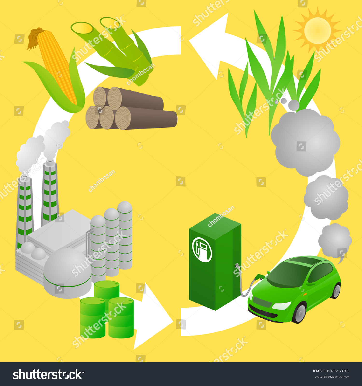 Biofuel Life Cycle Biomass Ethanol Diagram Stock Vector 392460085 ...