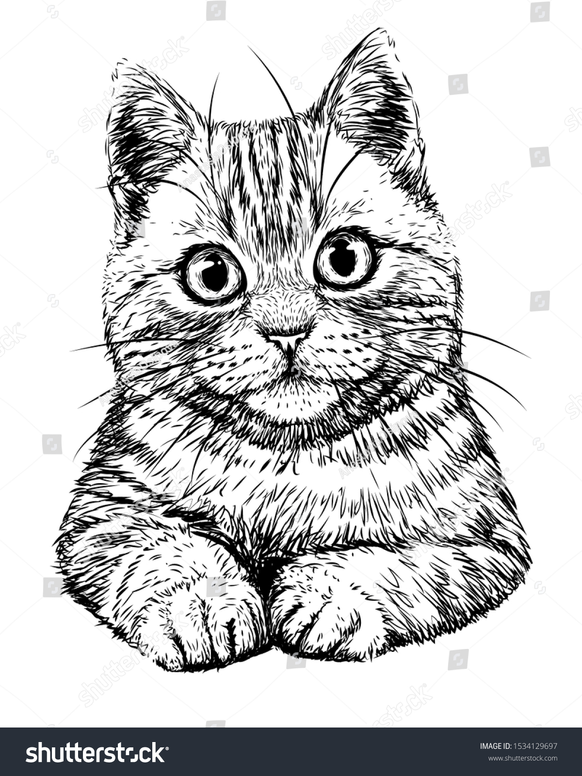 Cat Graphic Handdrawn Black White Sketch Stock Vector Royalty Free