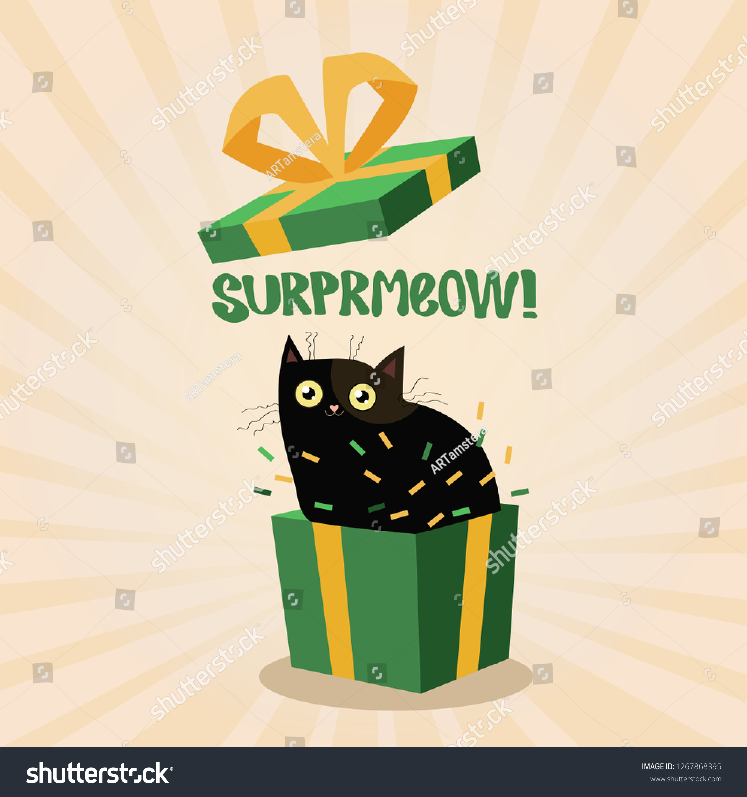 cat surprise box