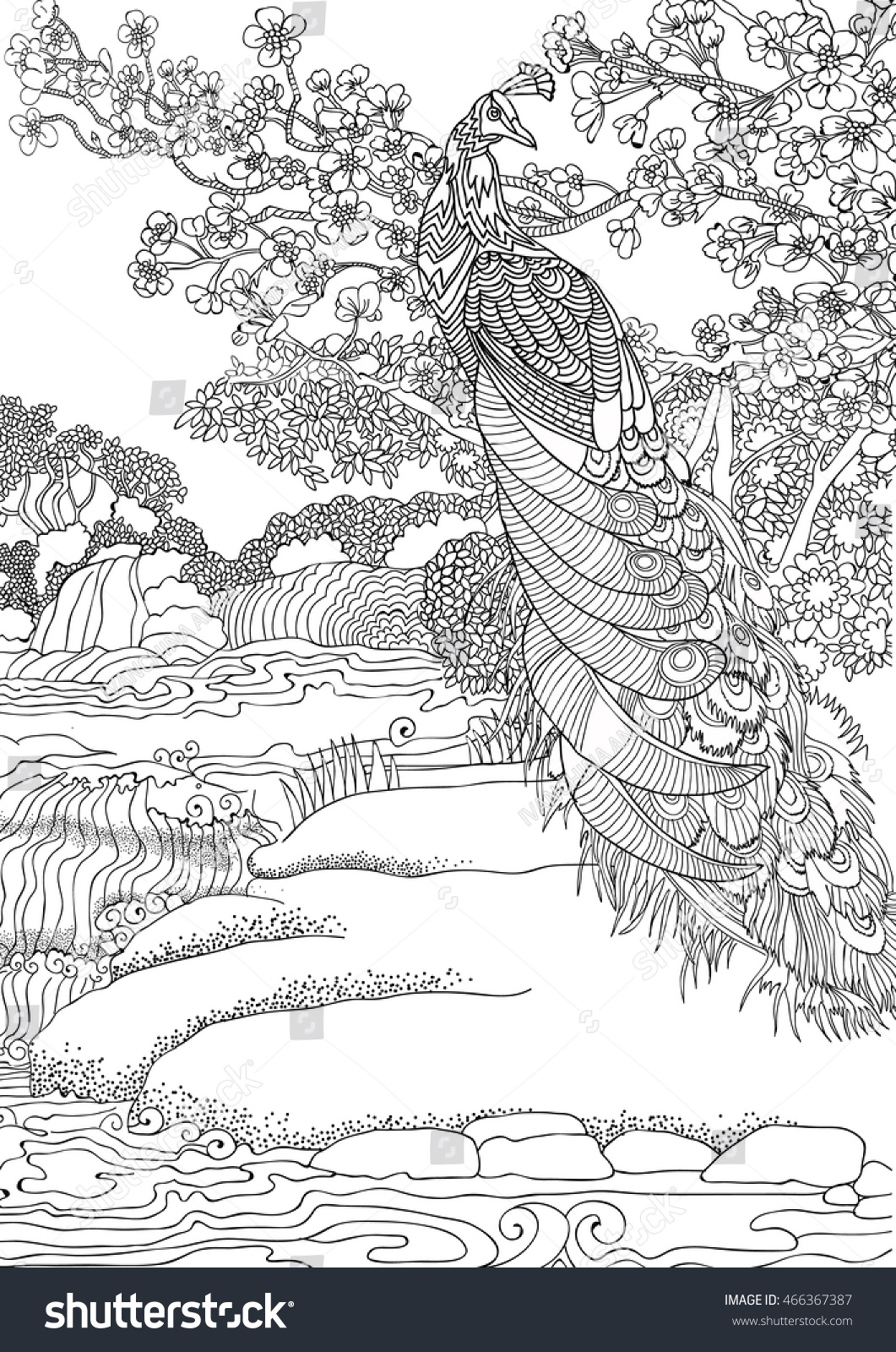 Coloring pages Beautiful peacock on the background of a beautiful landscape with a waterfall