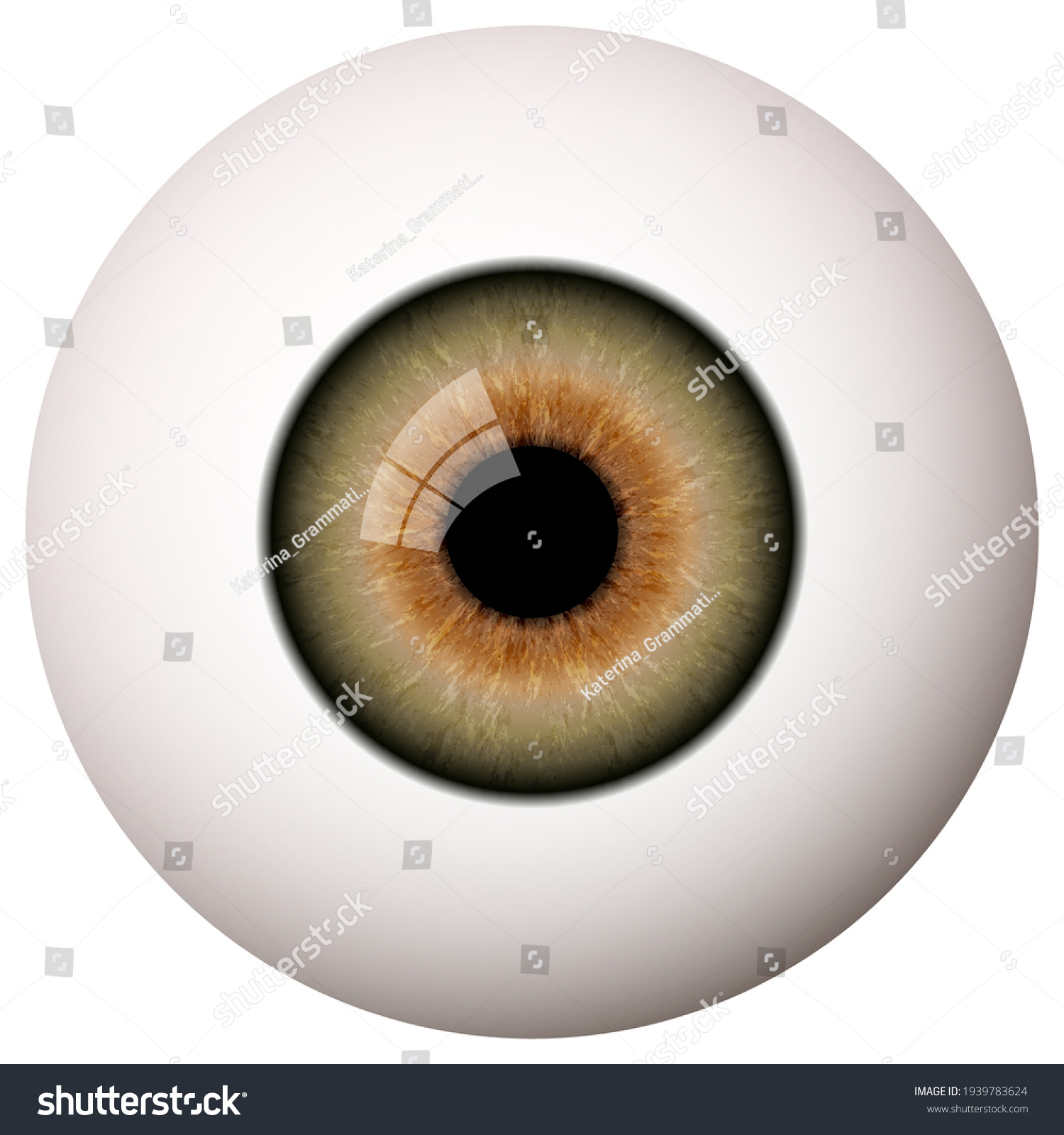 3d Eye Realistic Face Construction Part Stock Vector (Royalty Free ...