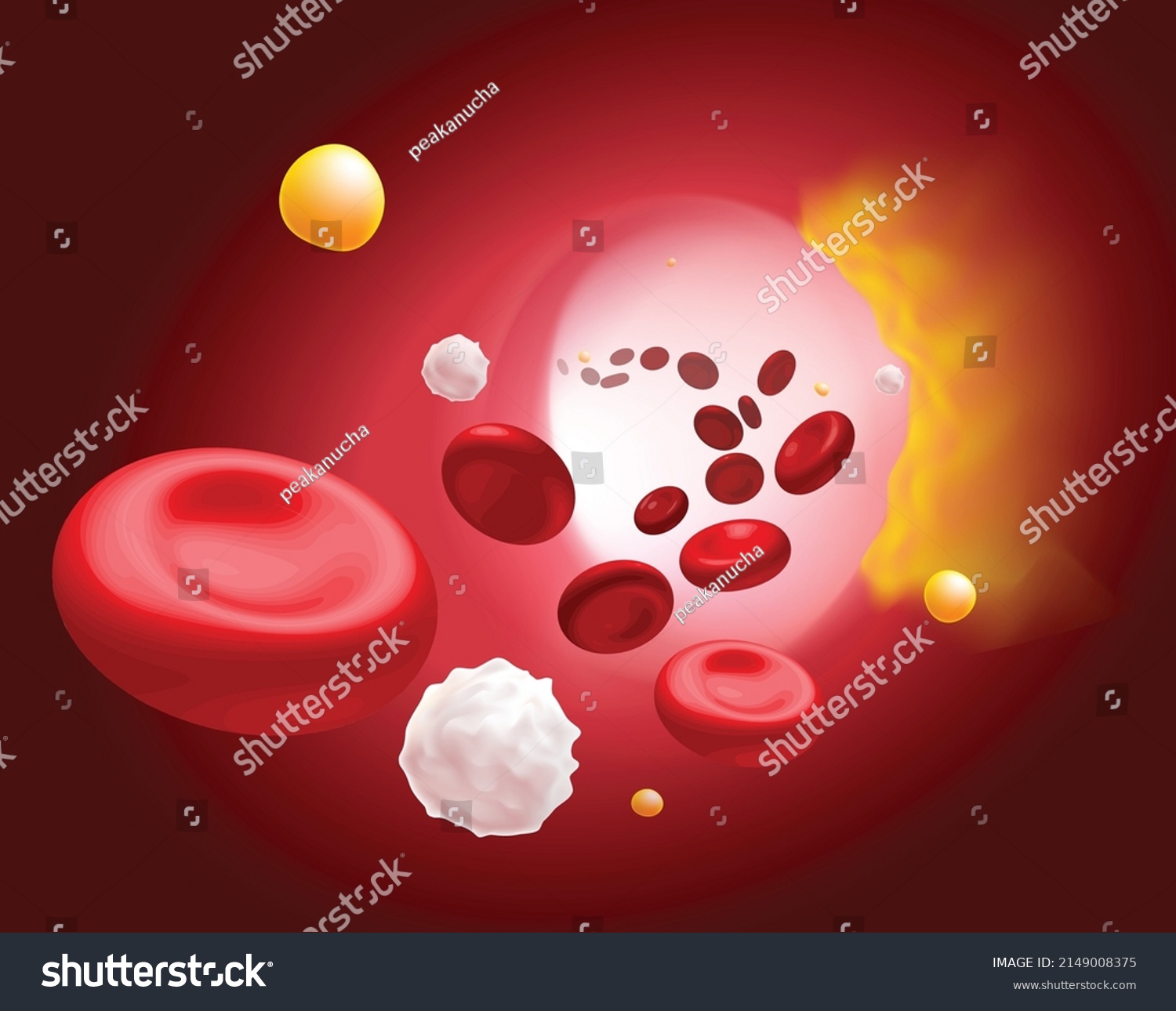 3d Illustration Red Blood Cells White Stock Vector (Royalty Free ...