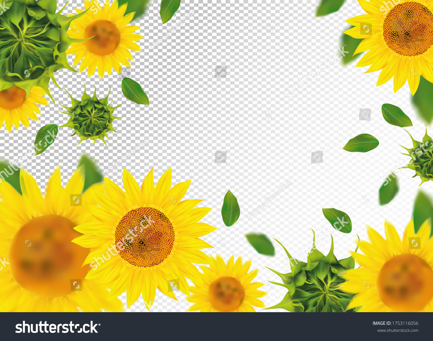 SVG of 3D realistic sunflower with green leaf. Yellow sunflower in motion. Beautiful sunflower background. Falling sunflower. Vector illustration svg