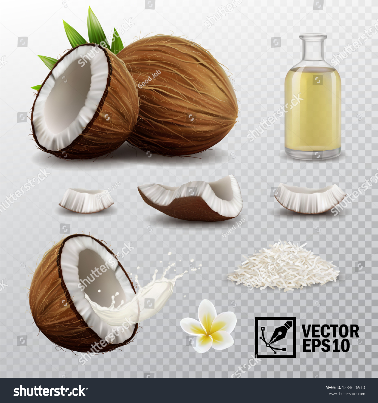 SVG of 3d realistic vector set of elements (whole and half coconut, coconut chips, splash coconut milk or oil, coconut flower, oil bottle) svg