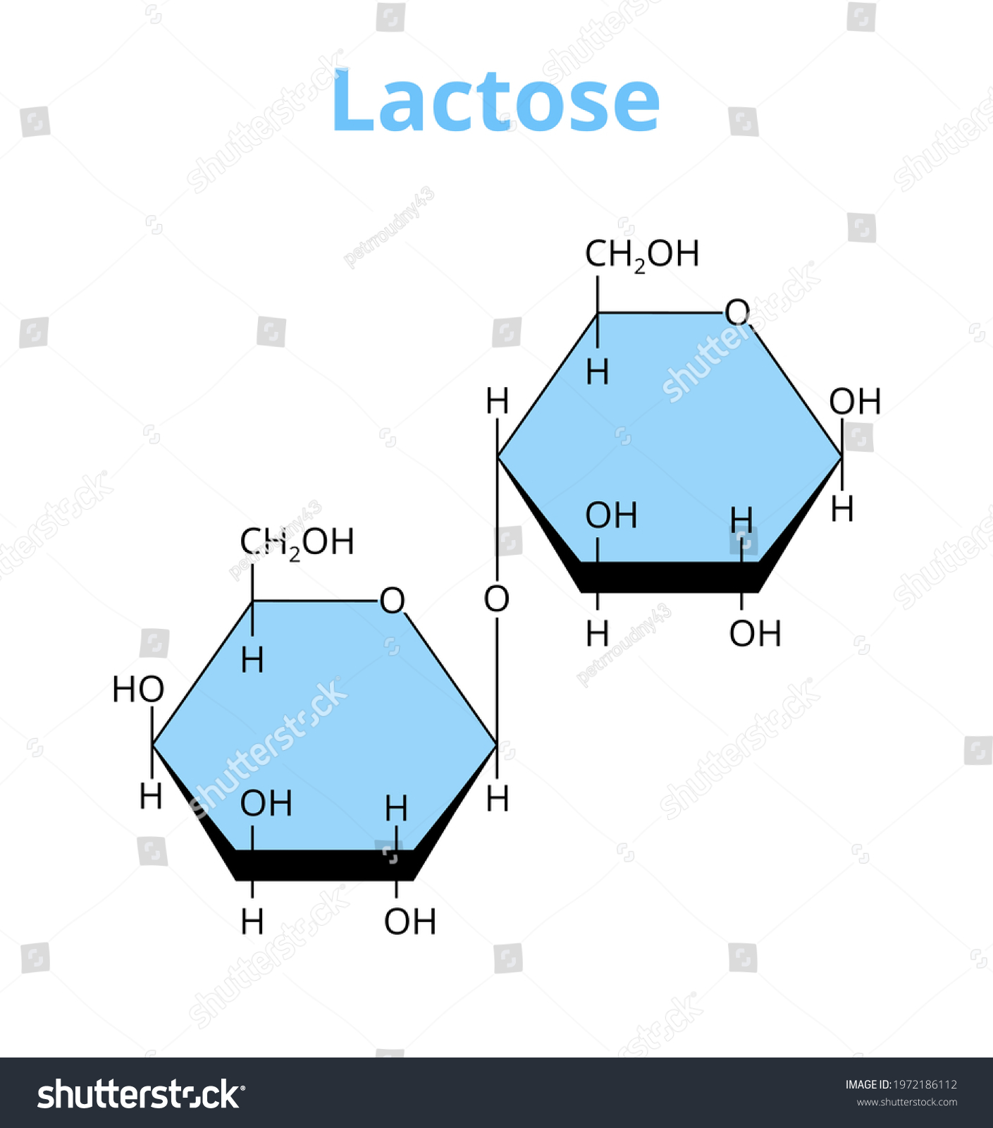 SVG of 2D vector molecular structure of the disaccharide lactose, sugar composed of galactose and glucose. Milk sugar found in milk. The structural formula of the lactose is isolated on a white background. svg