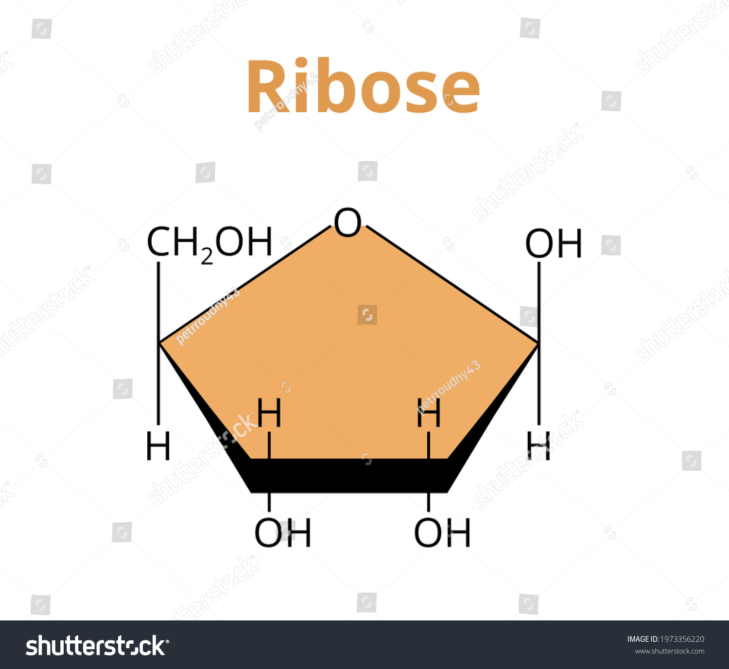 2d-vector-molecular-structure-monosaccharide-ribose-vector-de-stock