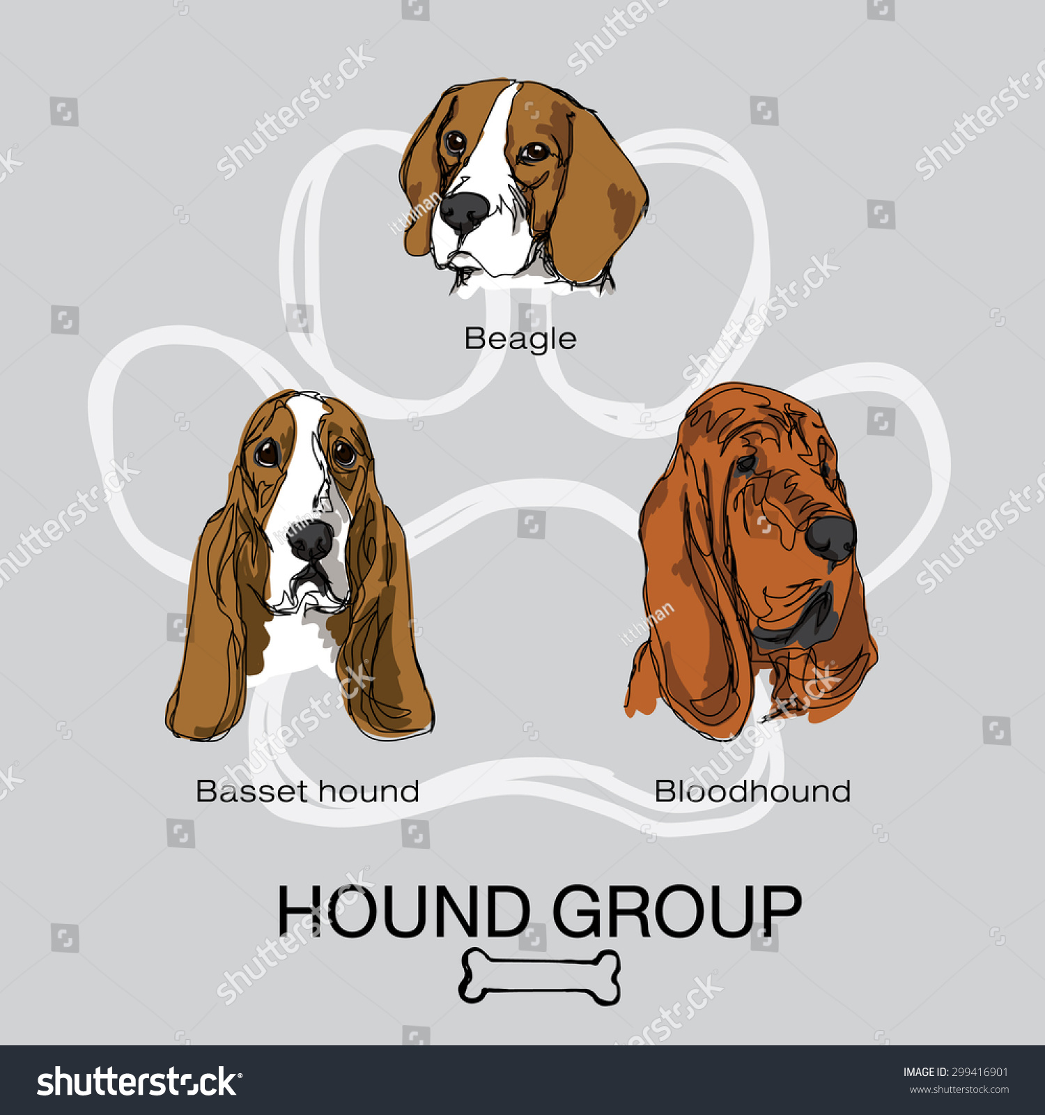 basset hound and bloodhound