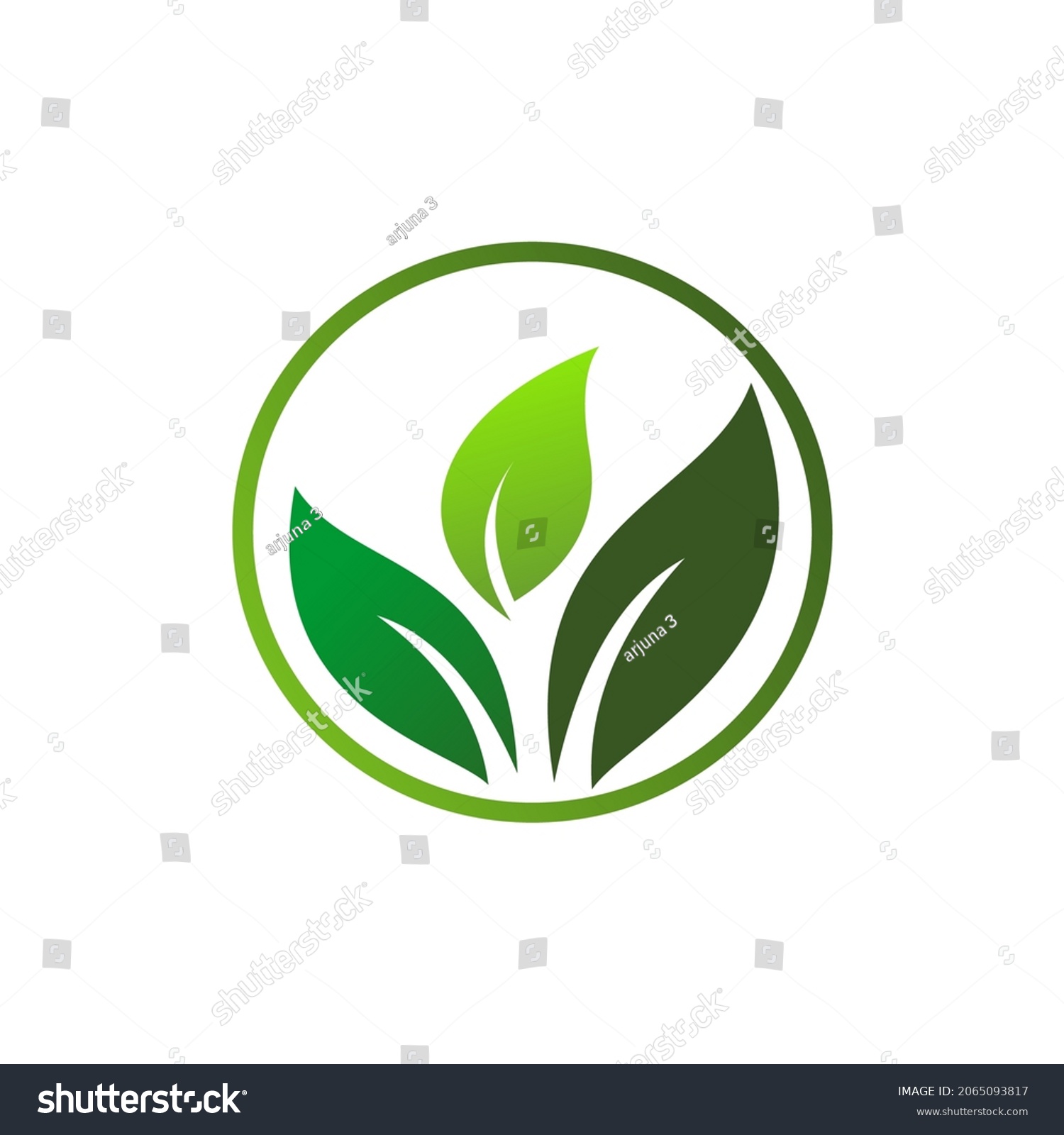 Eco Icon Green Leaf Vector Illustration Stock Vector (Royalty Free ...