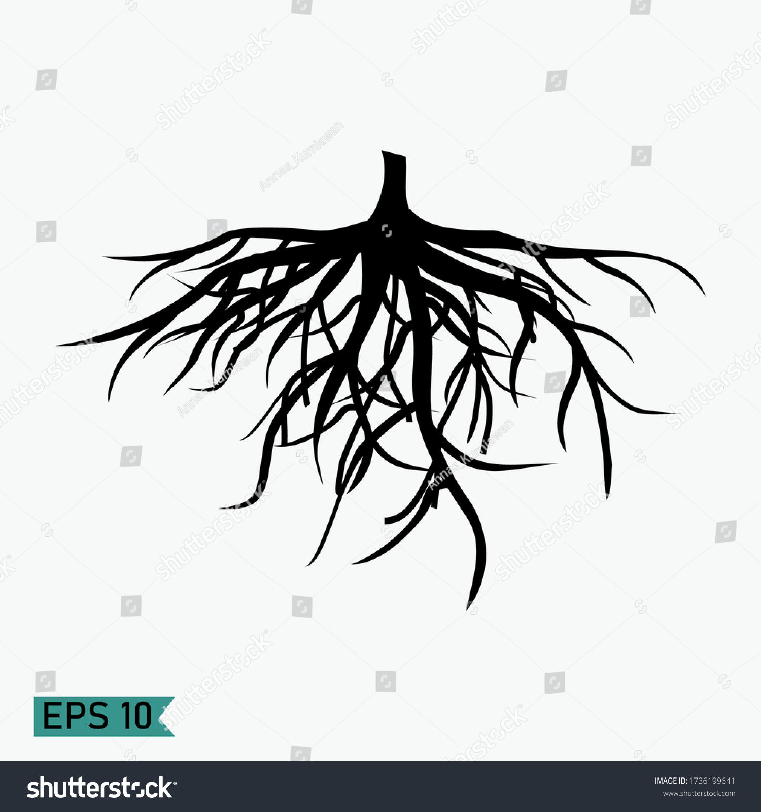 Fibrous Roots Flat Style Design Illustration Stock Vector (Royalty Free ...