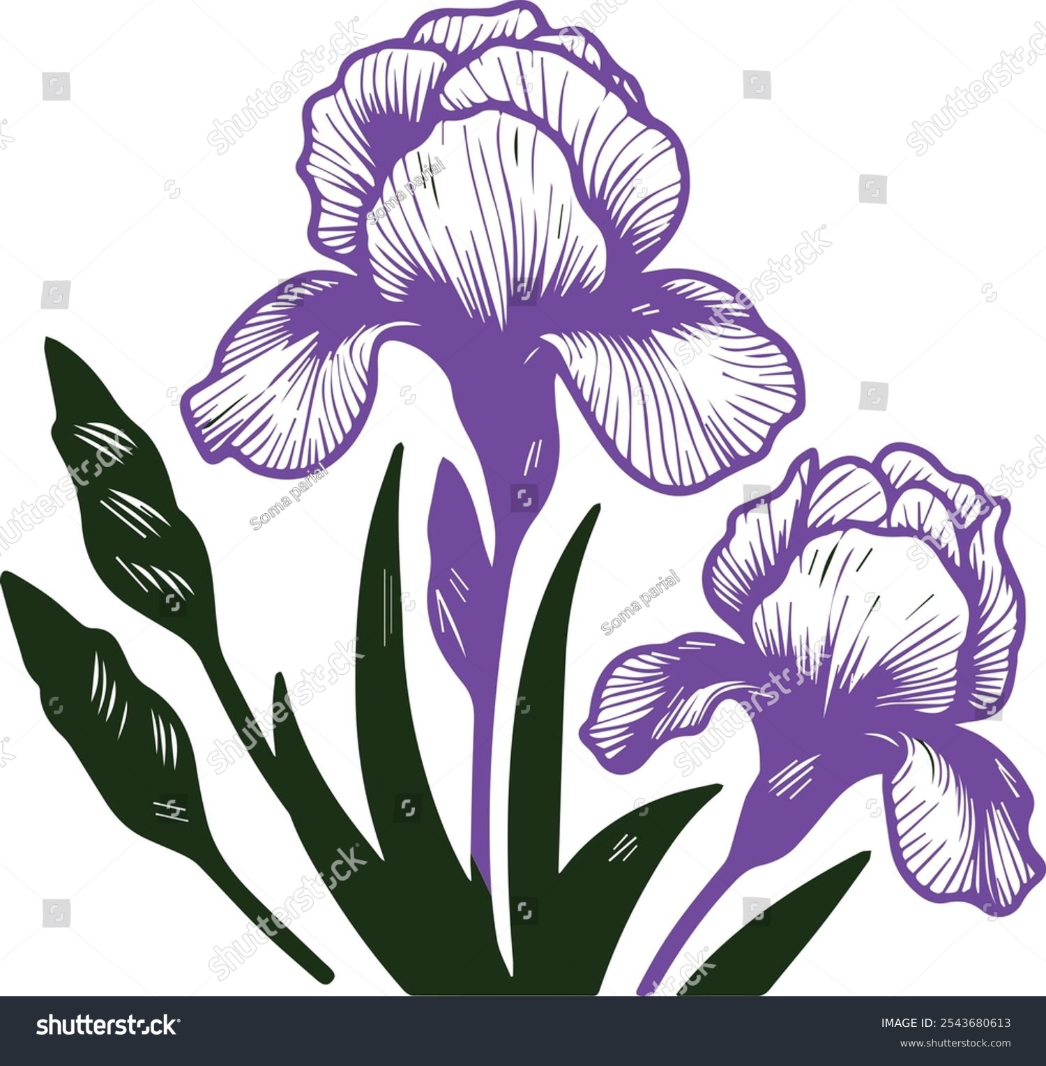 purple iris flowers black leaves clip art preview