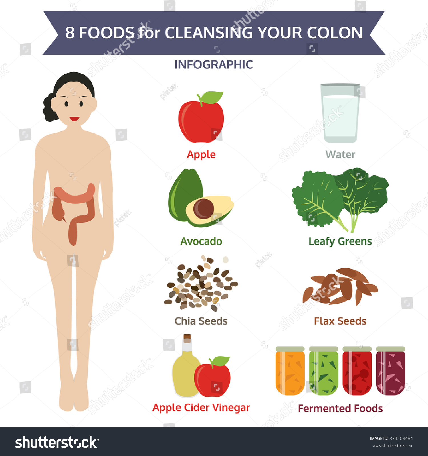 8 Foods Cleansing Your Colon Info Stock Vector Royalty Free 374208484