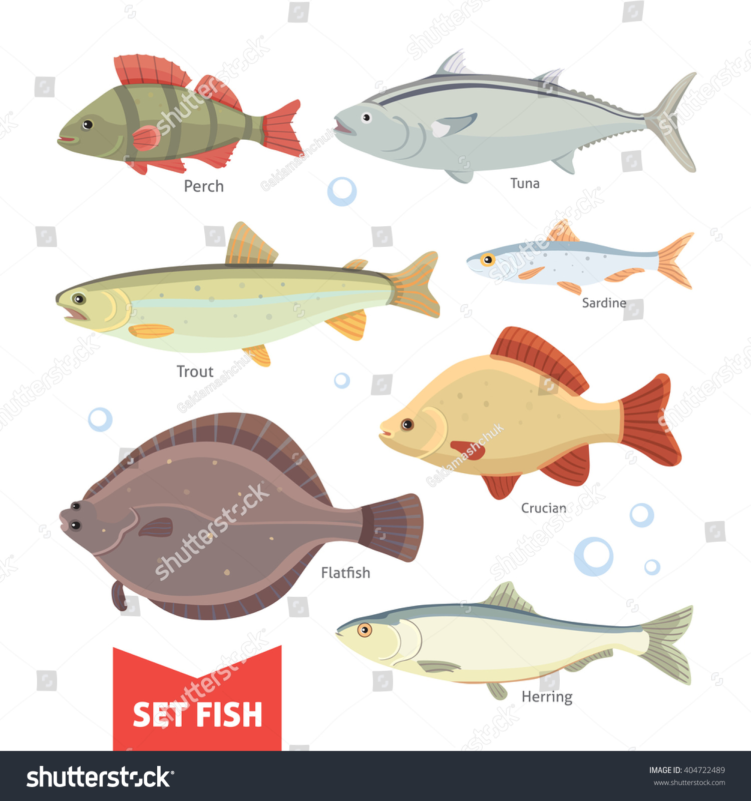 Freshwater Cartoon Fish Collection Isolated On Stock Vector 404722489 ...