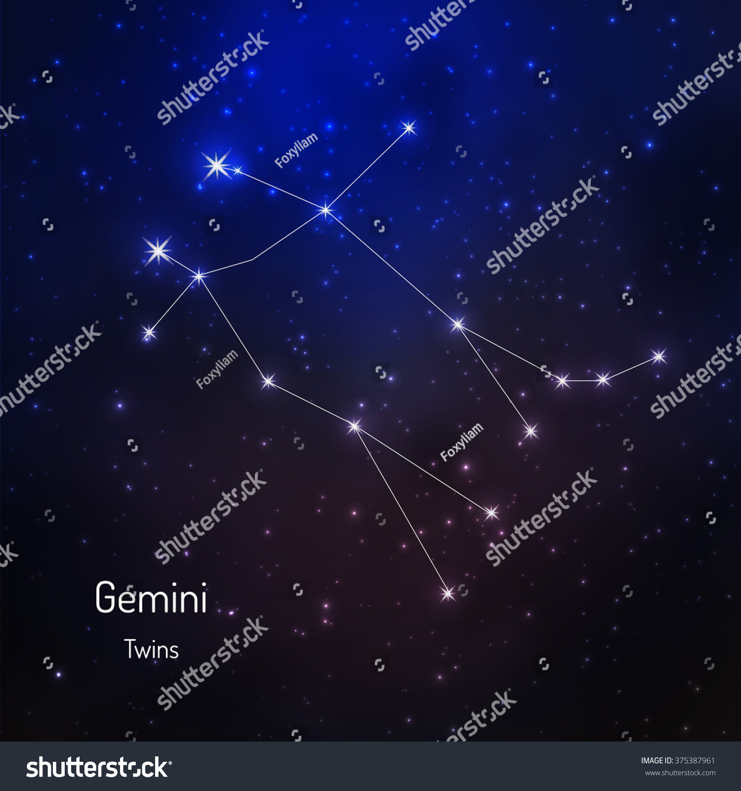 Gemini Constellation Night Starry Sky Vector Stock Vector (Royalty Free ...