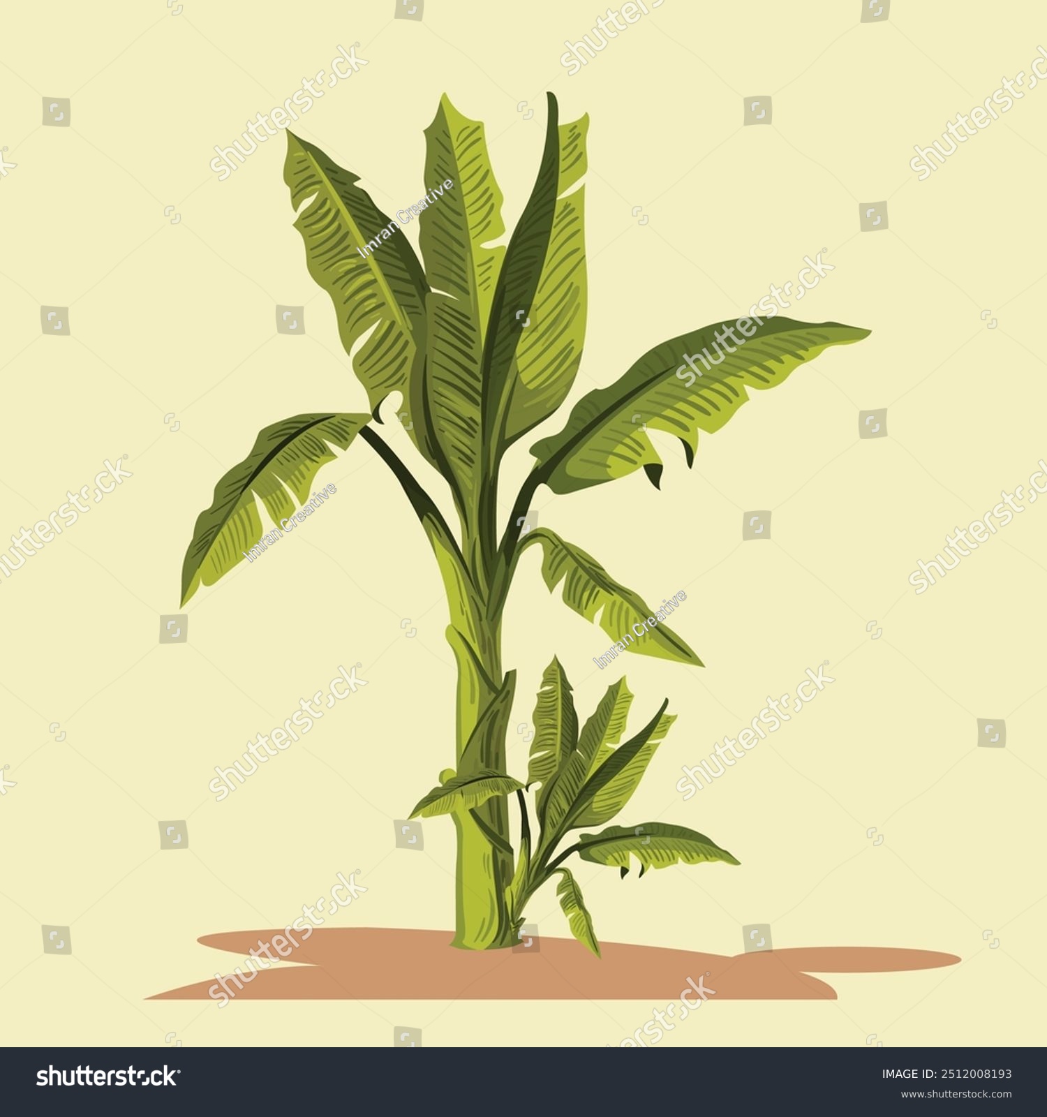 green banana tree on beige background clip art preview