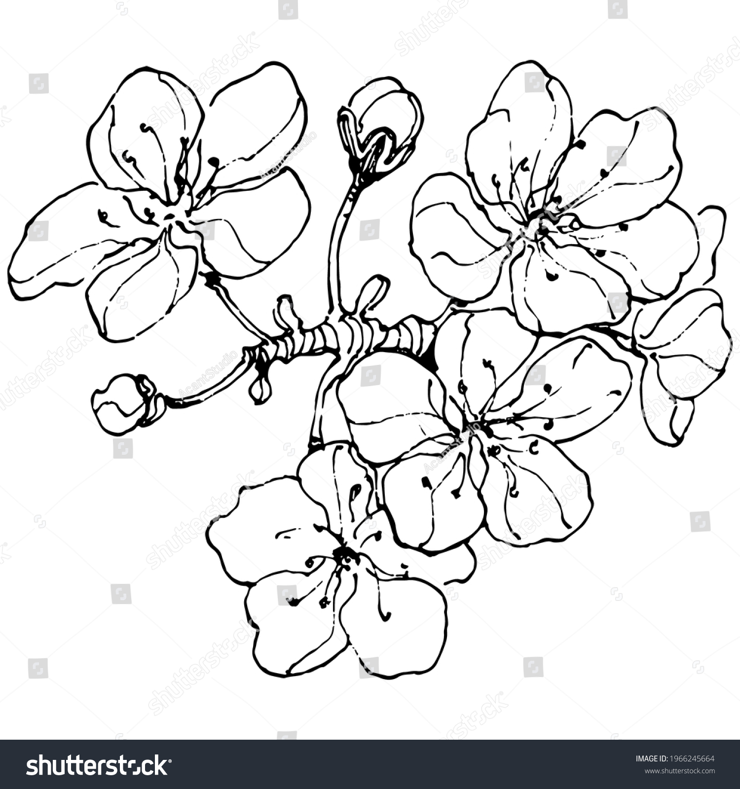 Hand Drawing Vintage Clip Art Berries Stock Vector (Royalty Free ...