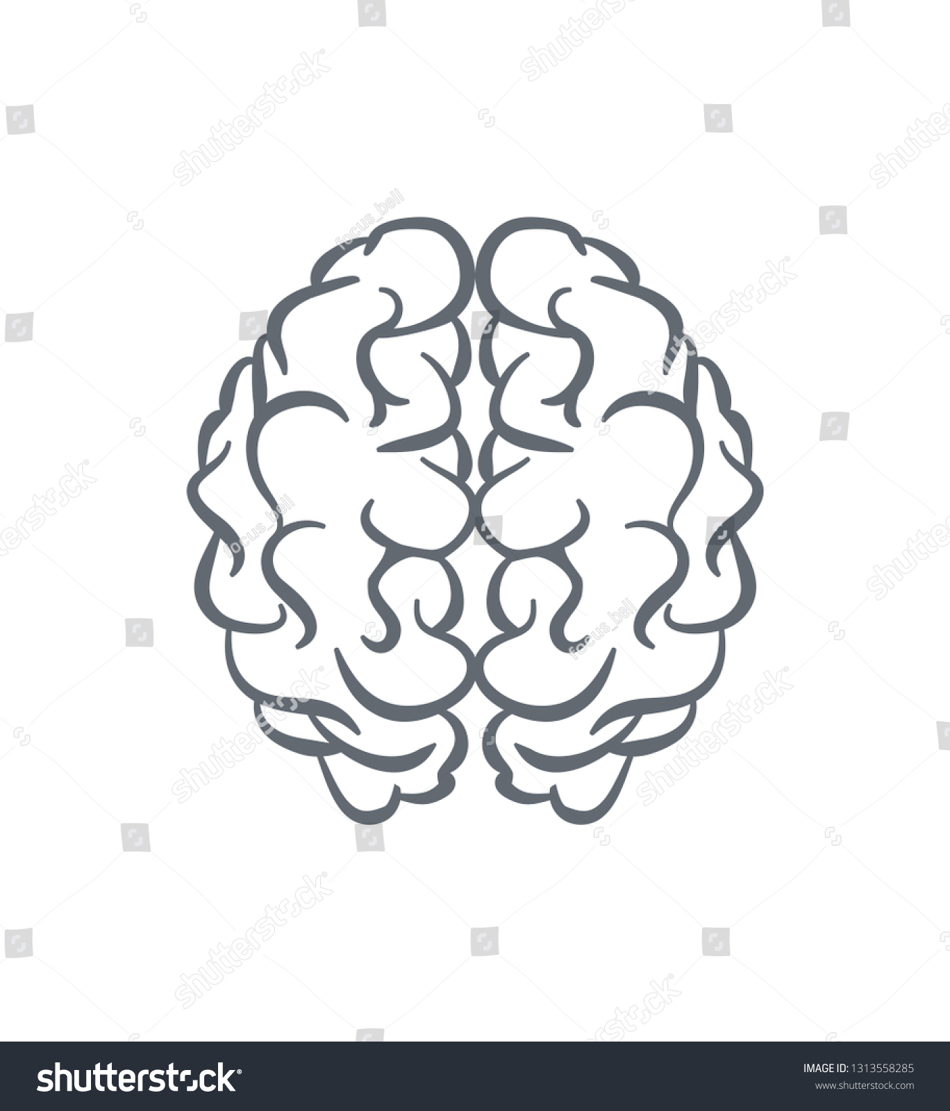 Human Brain Outline Vector Stock Vector Royalty Free 1313558285
