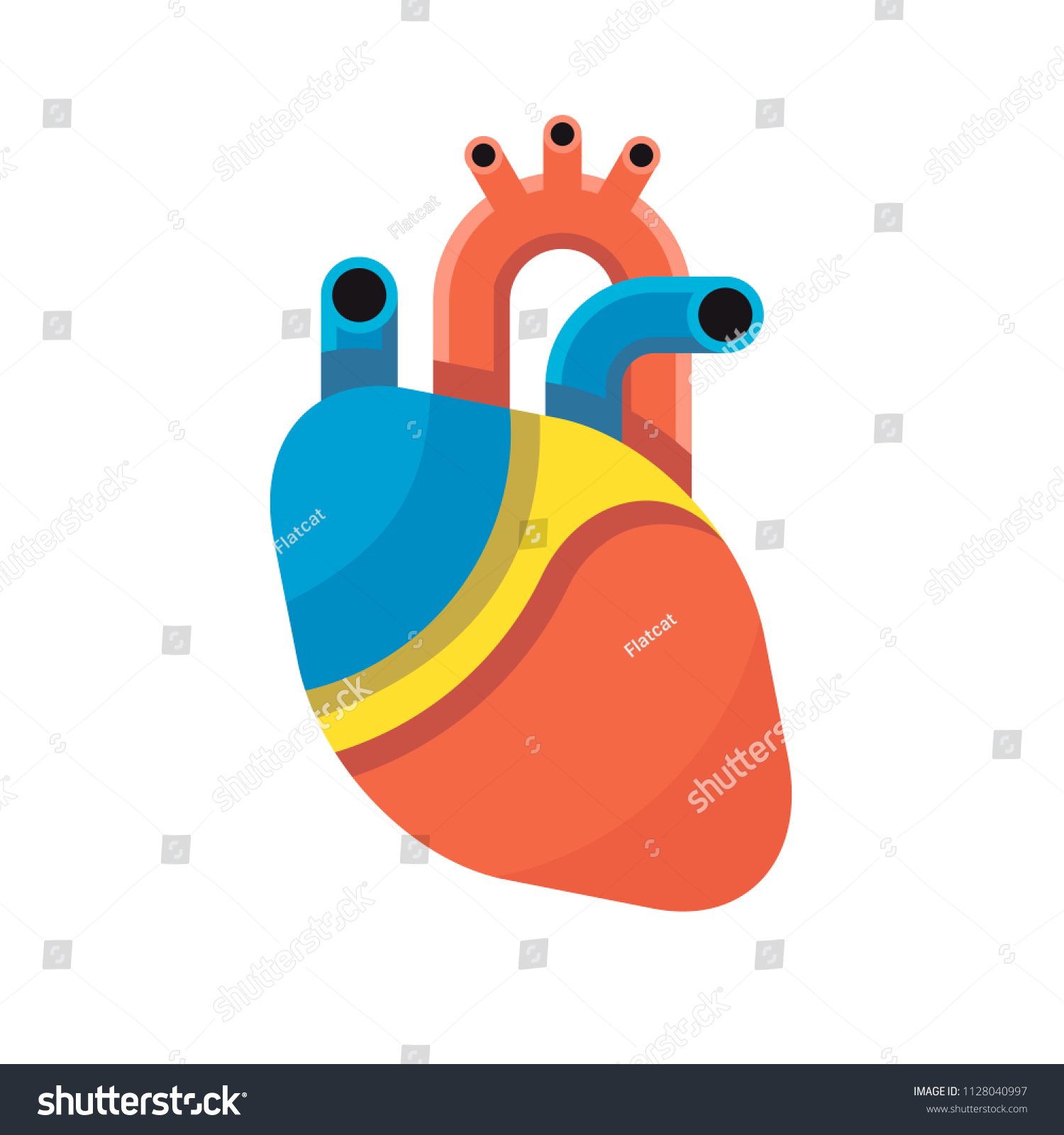 Human Heart Anatomy Organs Symbol Vector Stock Vector (Royalty Free ...