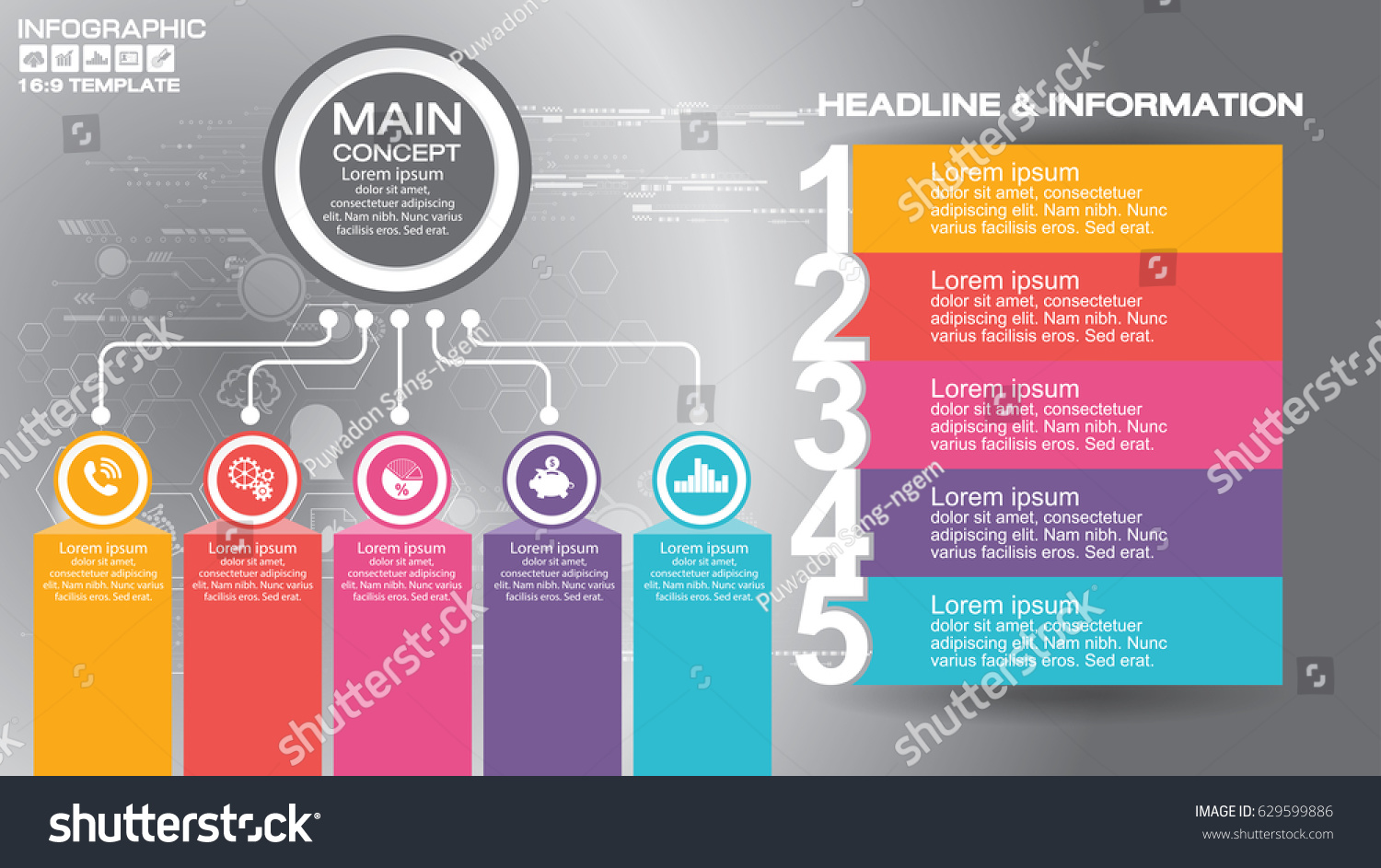 169 infographic flyer templates business vector stock vector
