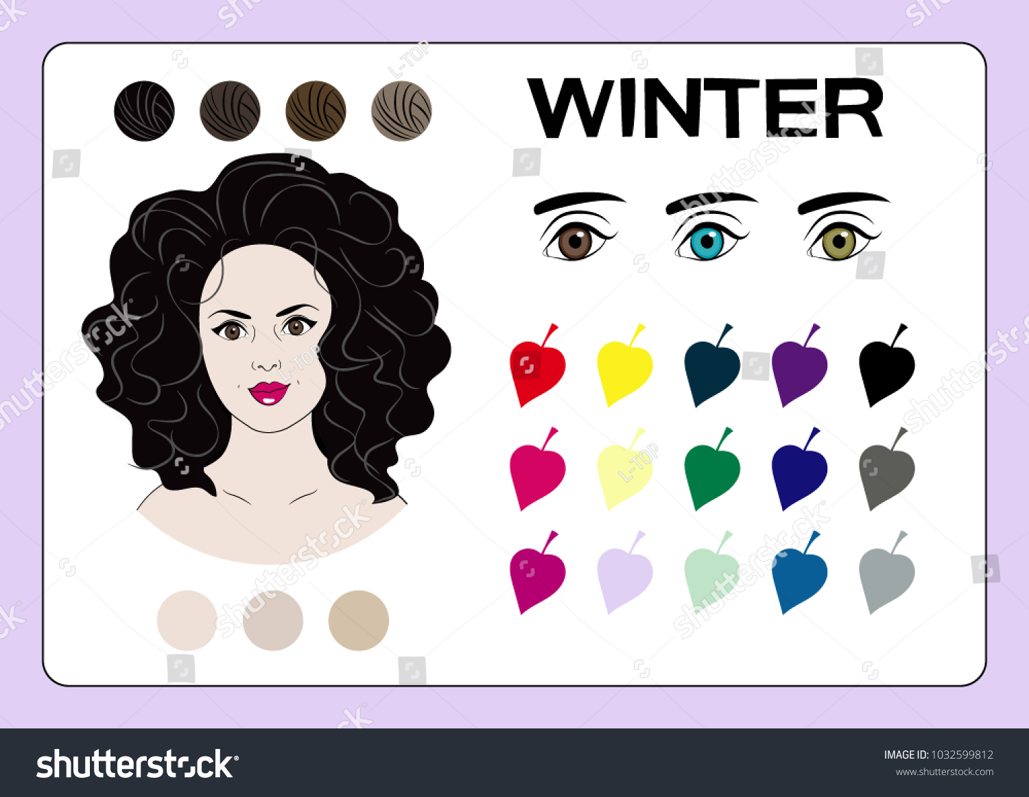 Infographics Classification Types Appearance One Four Stock Vector ...