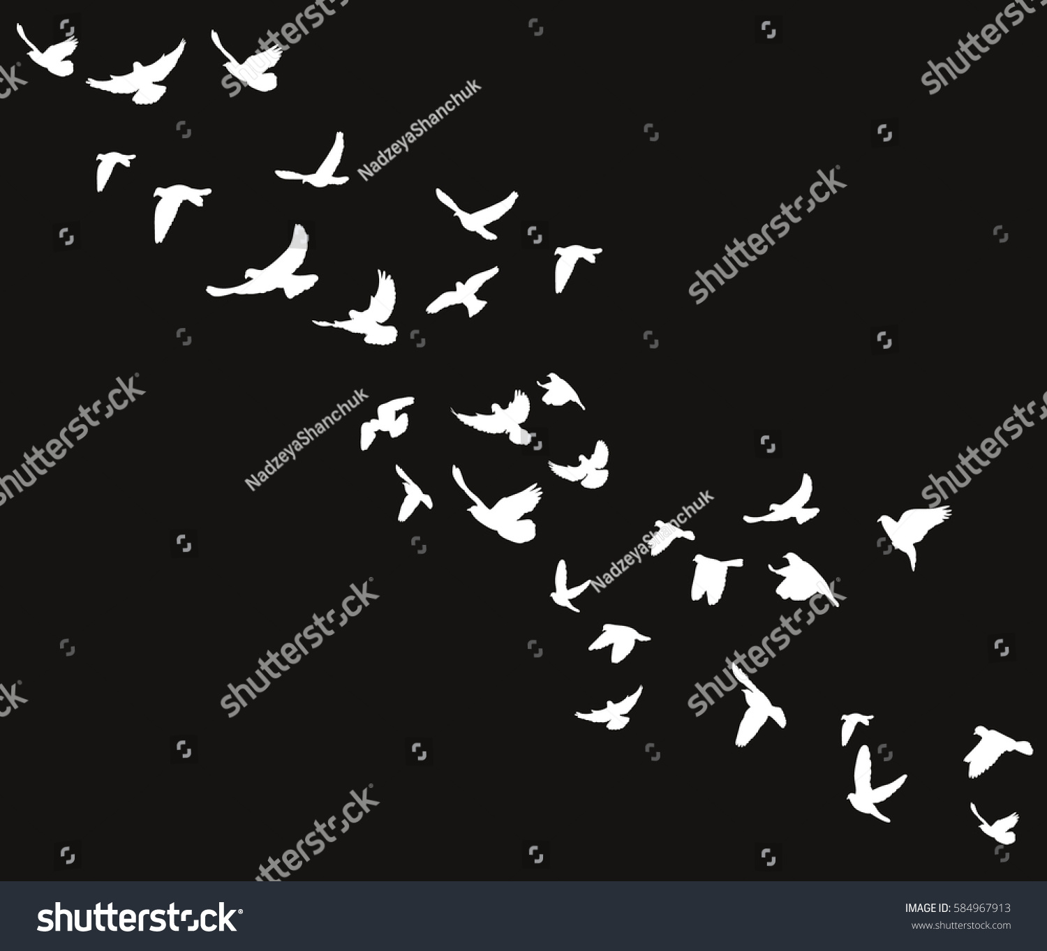 Isolated Silhouette Birds Flying On Black Stock Vector (Royalty Free ...