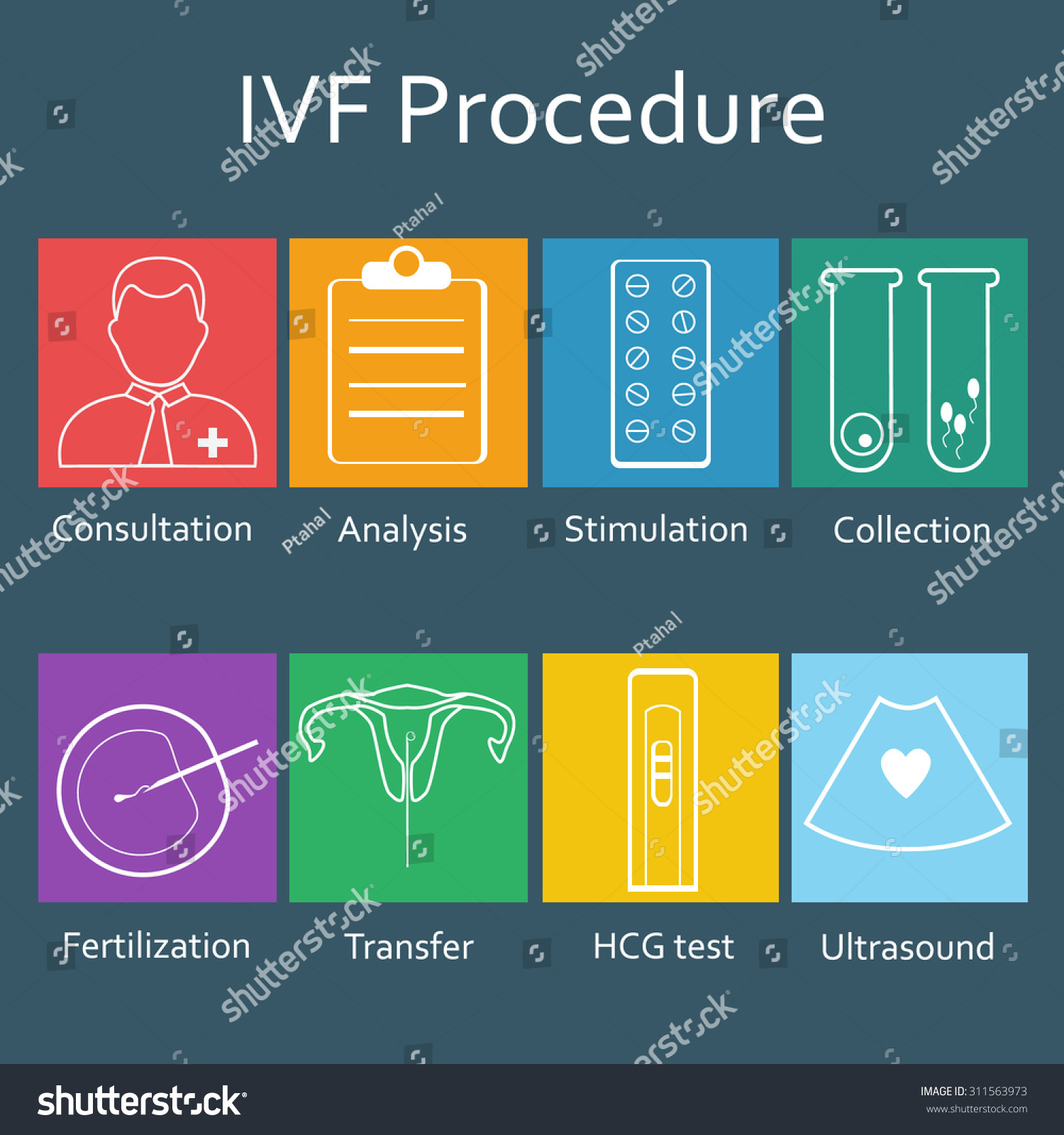 Ivf Procedure Vitro Fertilization Fertility Icons Stock Vector (Royalty ...