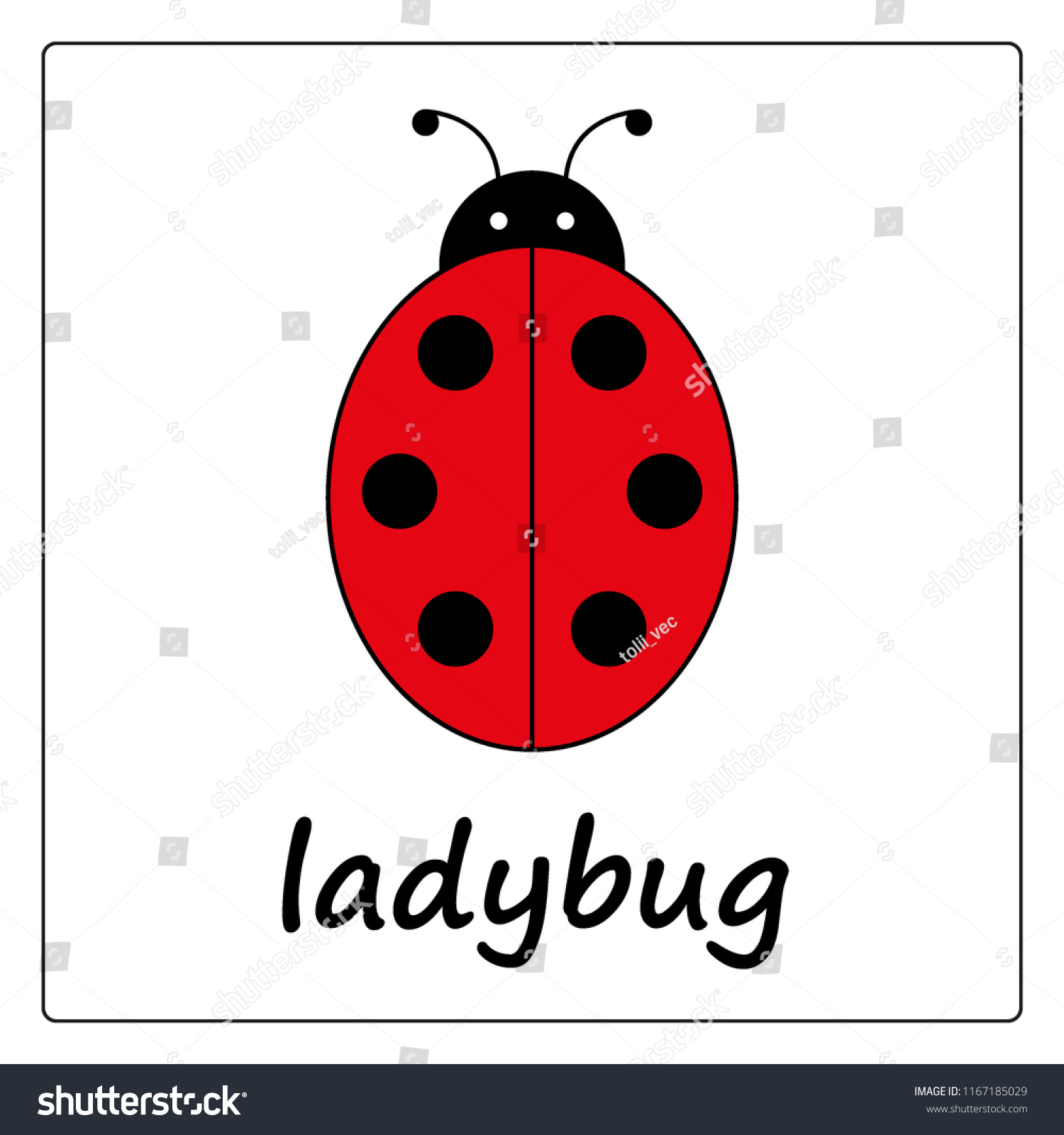 Educational learning activity for children 23 Ladybug themed Flash Cards New. 