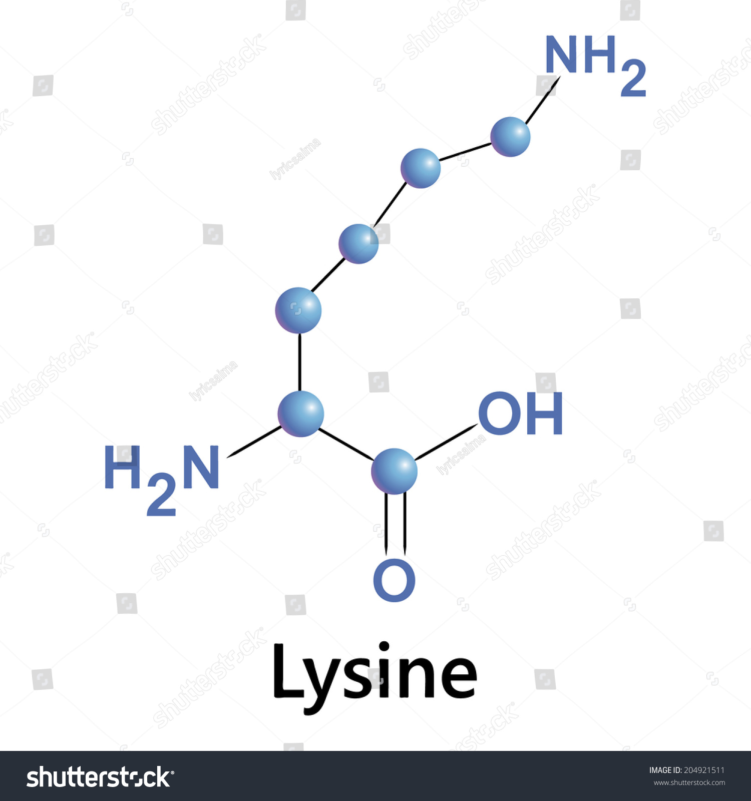 lysine molecule structure medical vector illustration stock lysine structure