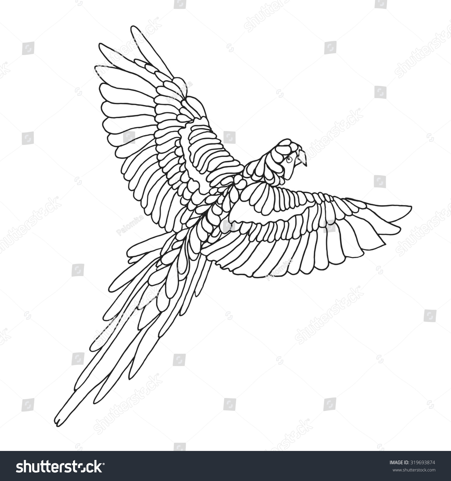 Macaw Parrot Coloring Page Birds Black Stock Vector 319693874 ...