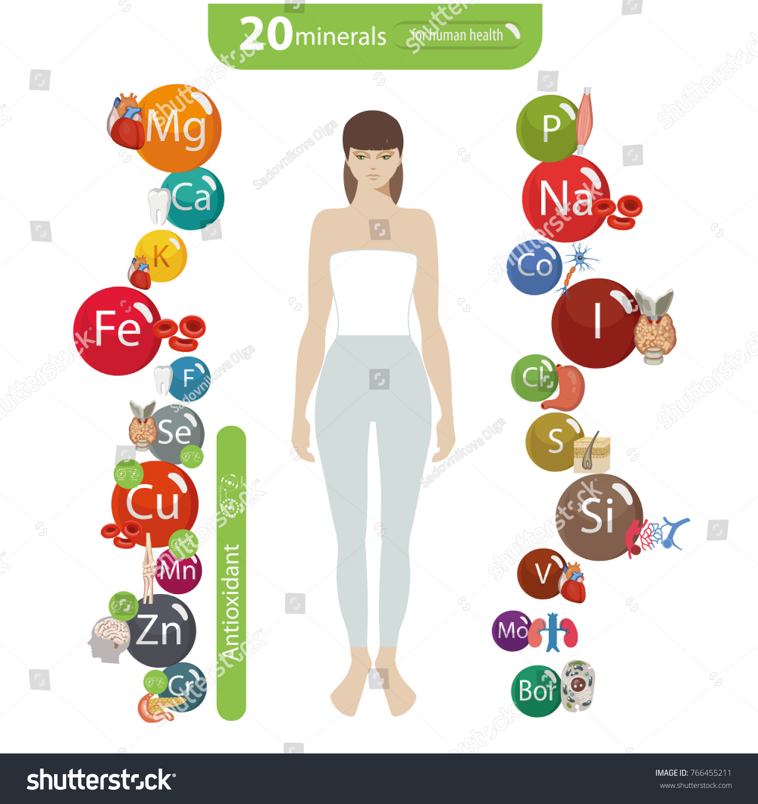 Microelements in the human body: their role and importance. Table Microelements in the human body: their role and importance. Table