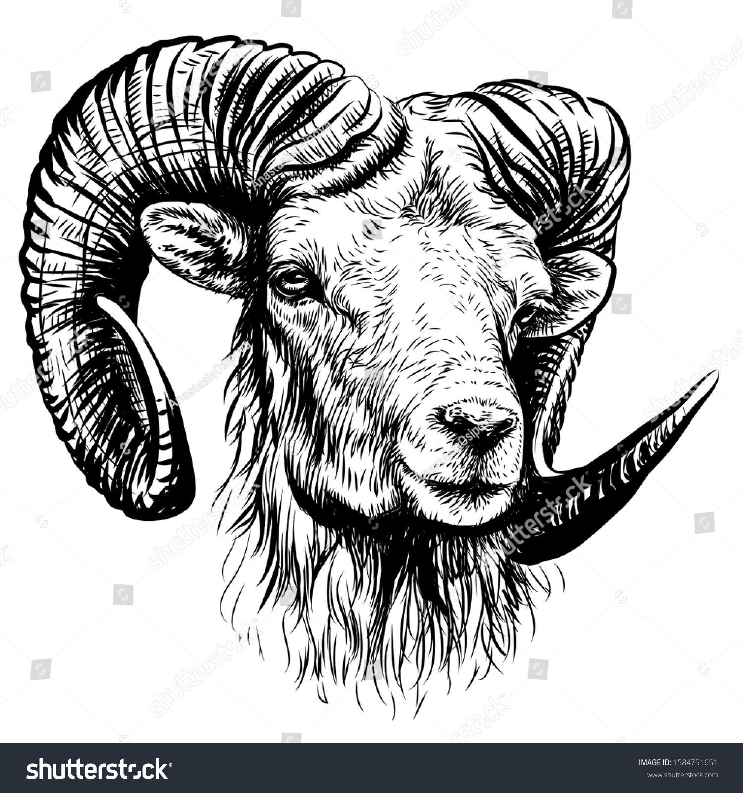 7,169 Mountain sheep Stock Vectors, Images & Vector Art | Shutterstock