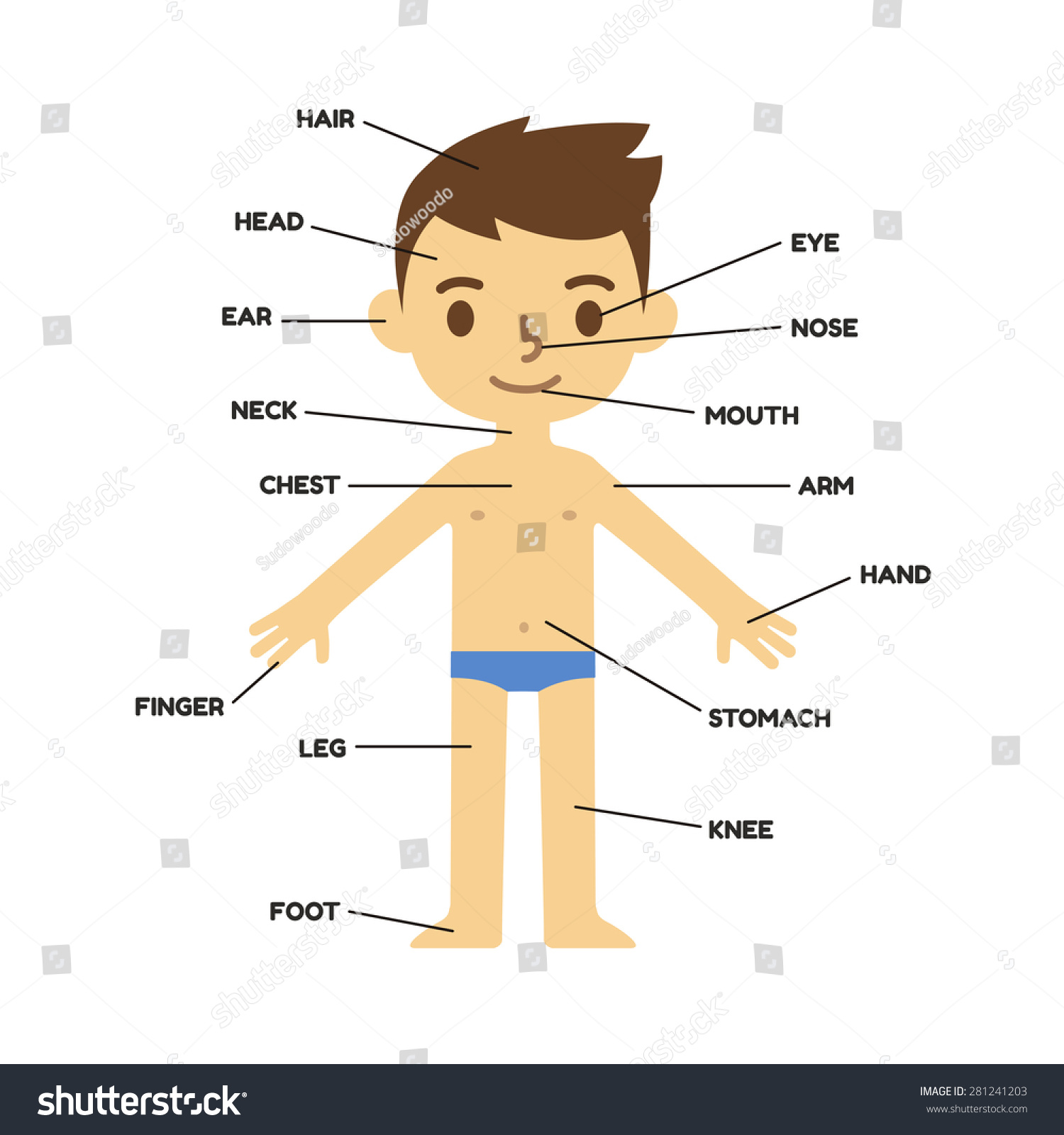 My Body Chart For Kindergarten