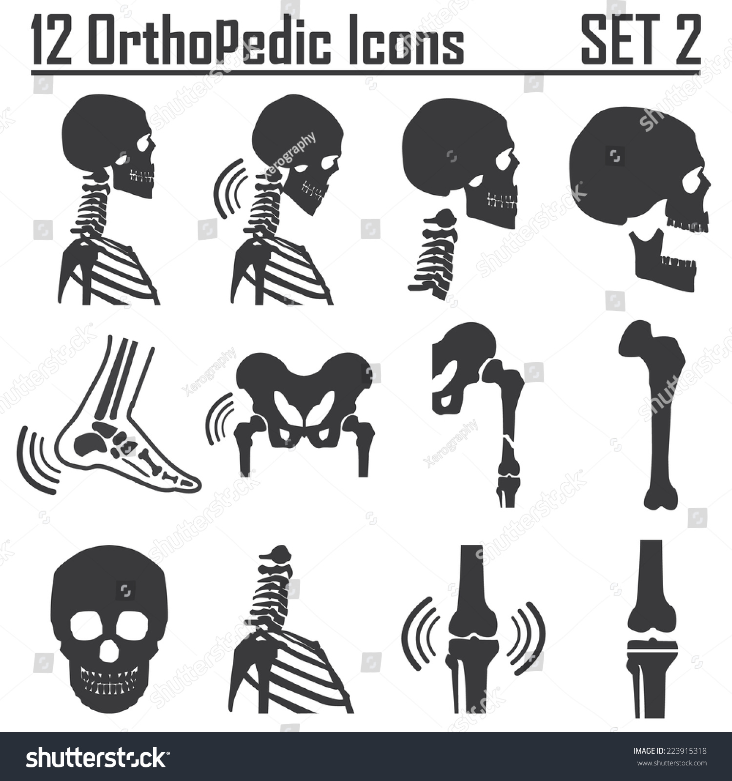 12 Orthopedic And Spine Symbol Set 2 - Vector Illustration Eps 10 Mono ...
