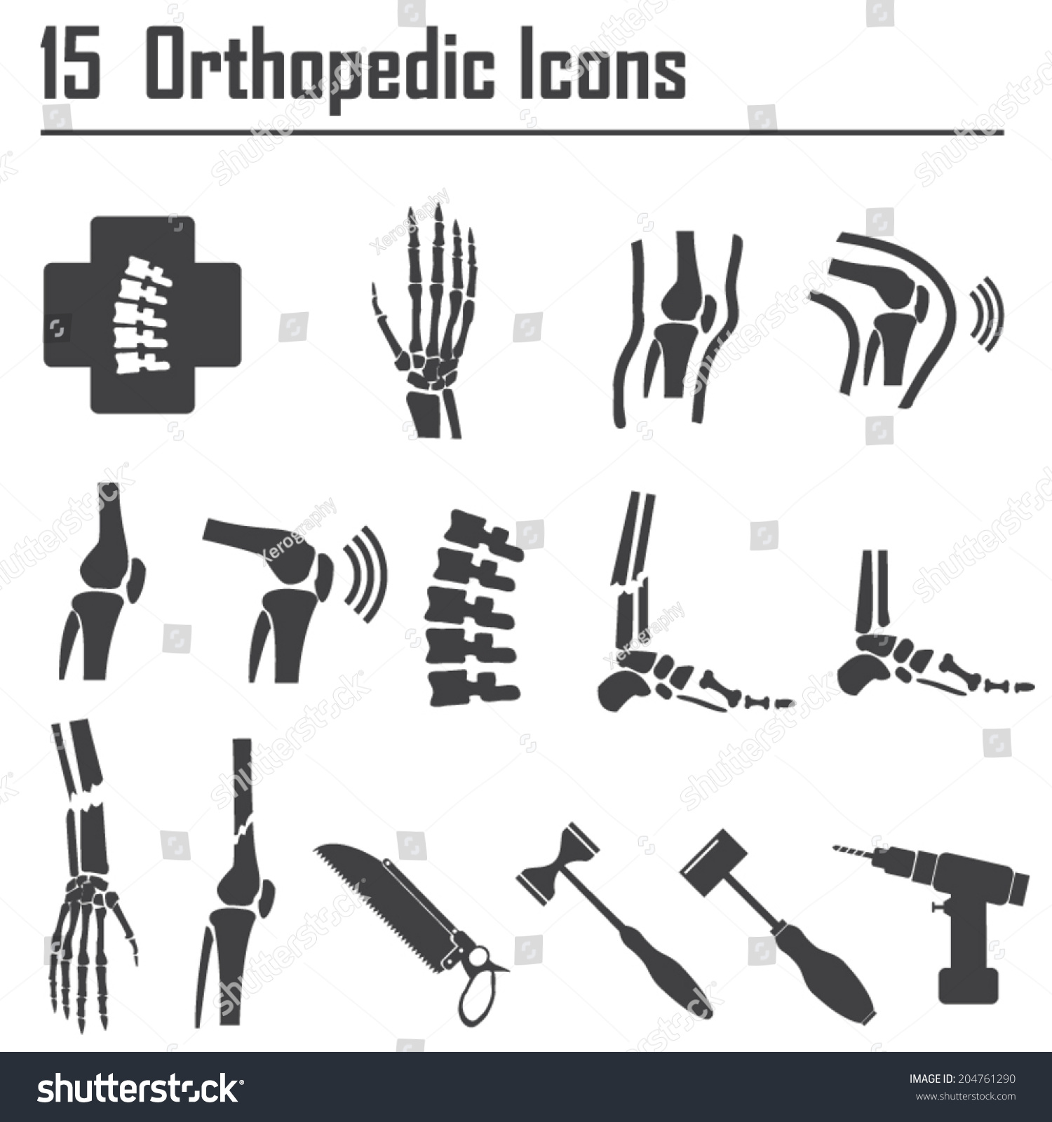 15 Orthopedic And Spine Symbol - Vector Illustration - 204761290 ...